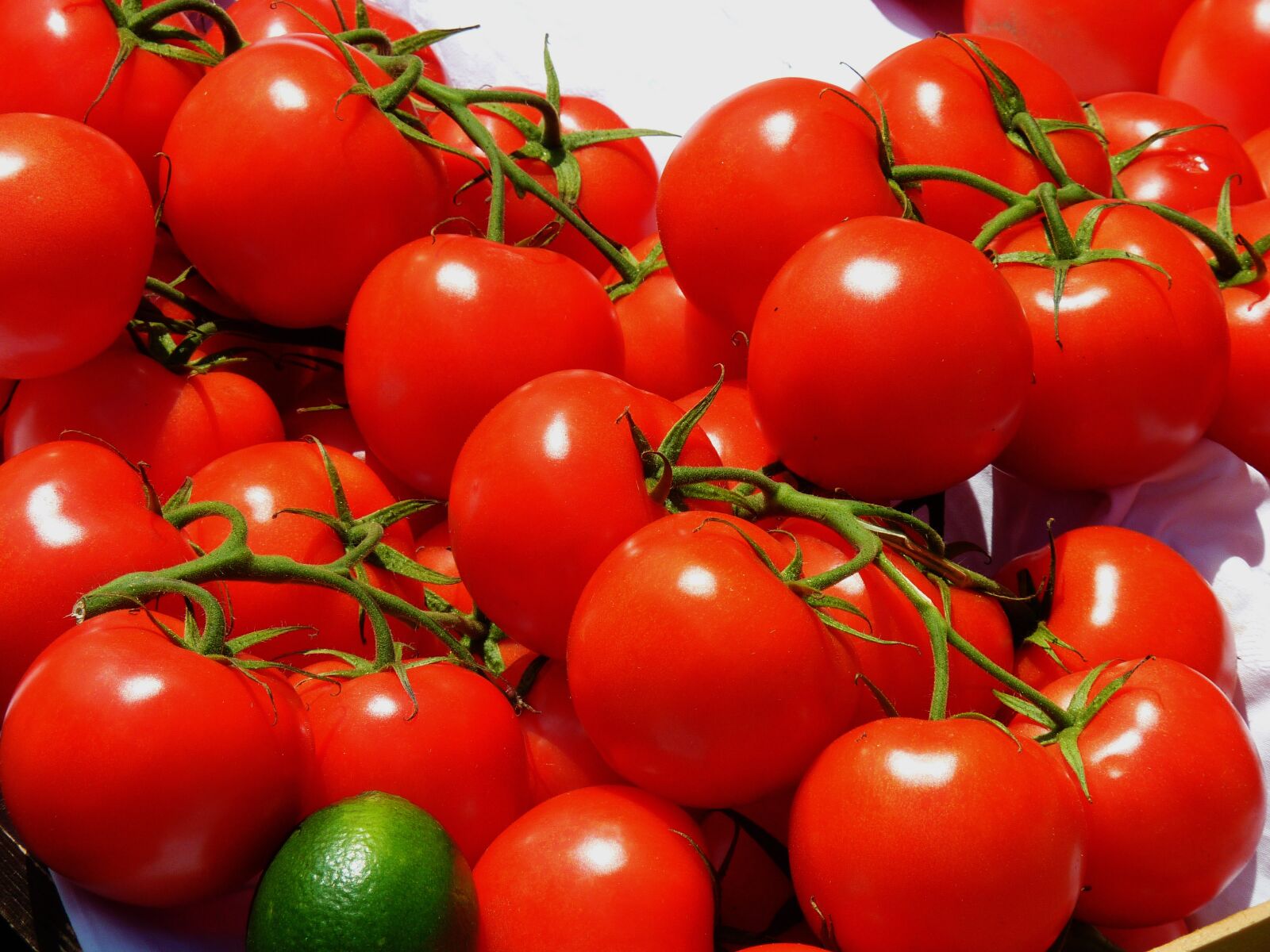 Panasonic DMC-TZ7 sample photo. Tomatoes, market, vegetables photography