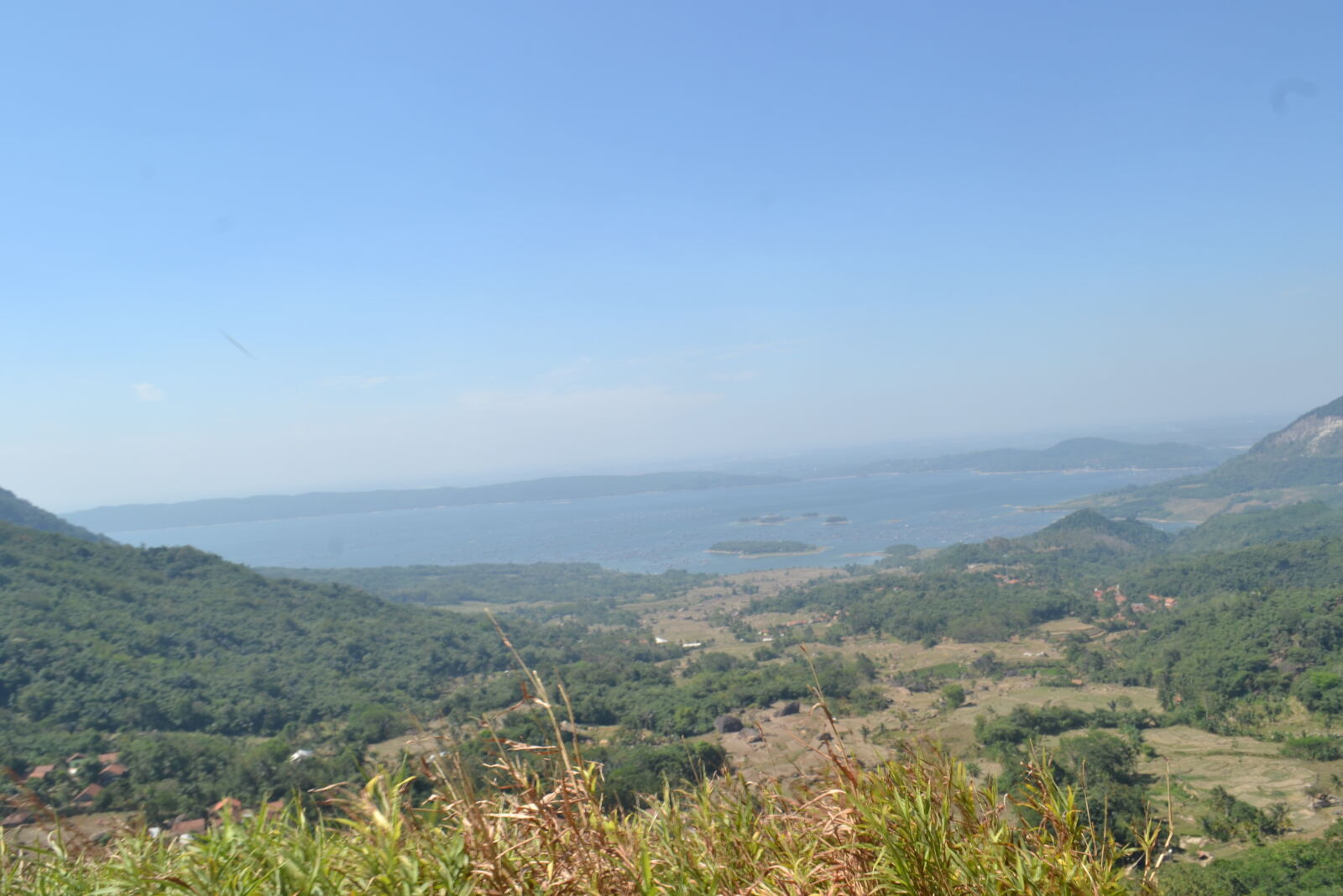 Nikon D3100 sample photo