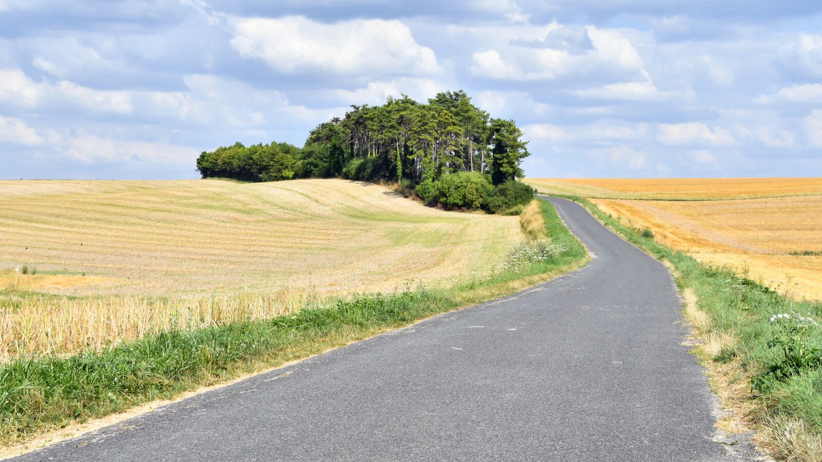 Nikon D500 sample photo. Landscape, road, fields photography