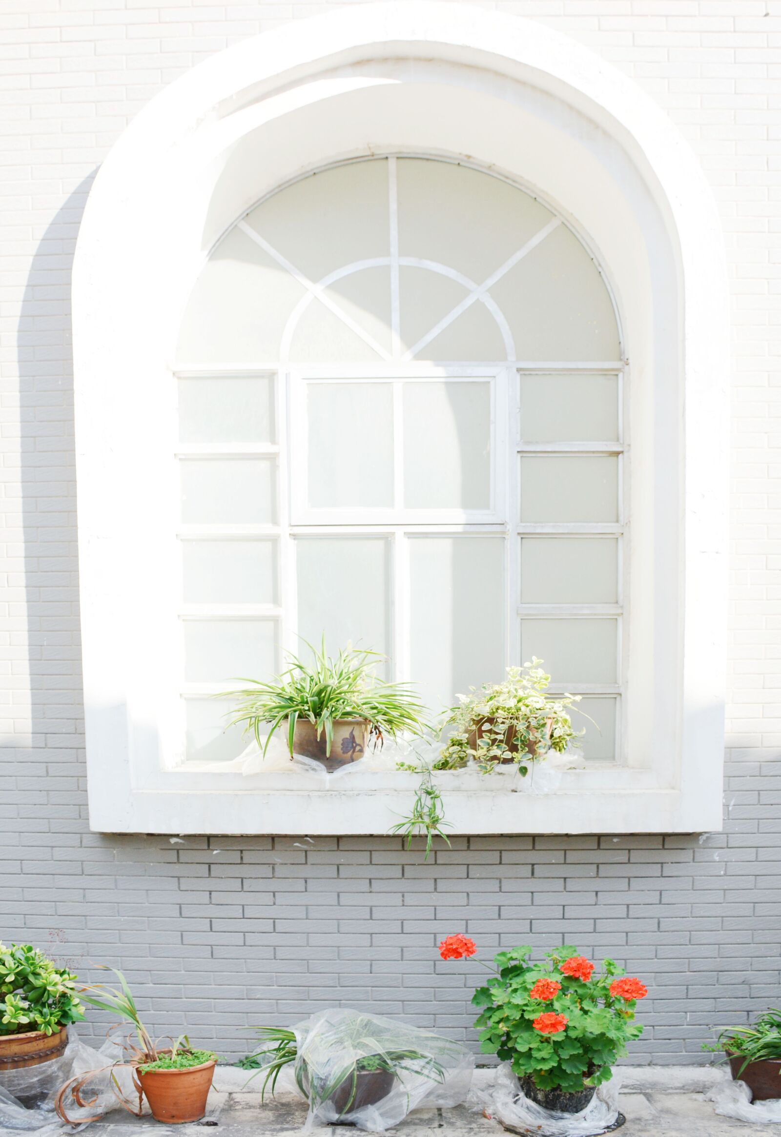 Nikon D7100 sample photo. The scenery, autumn, flower photography