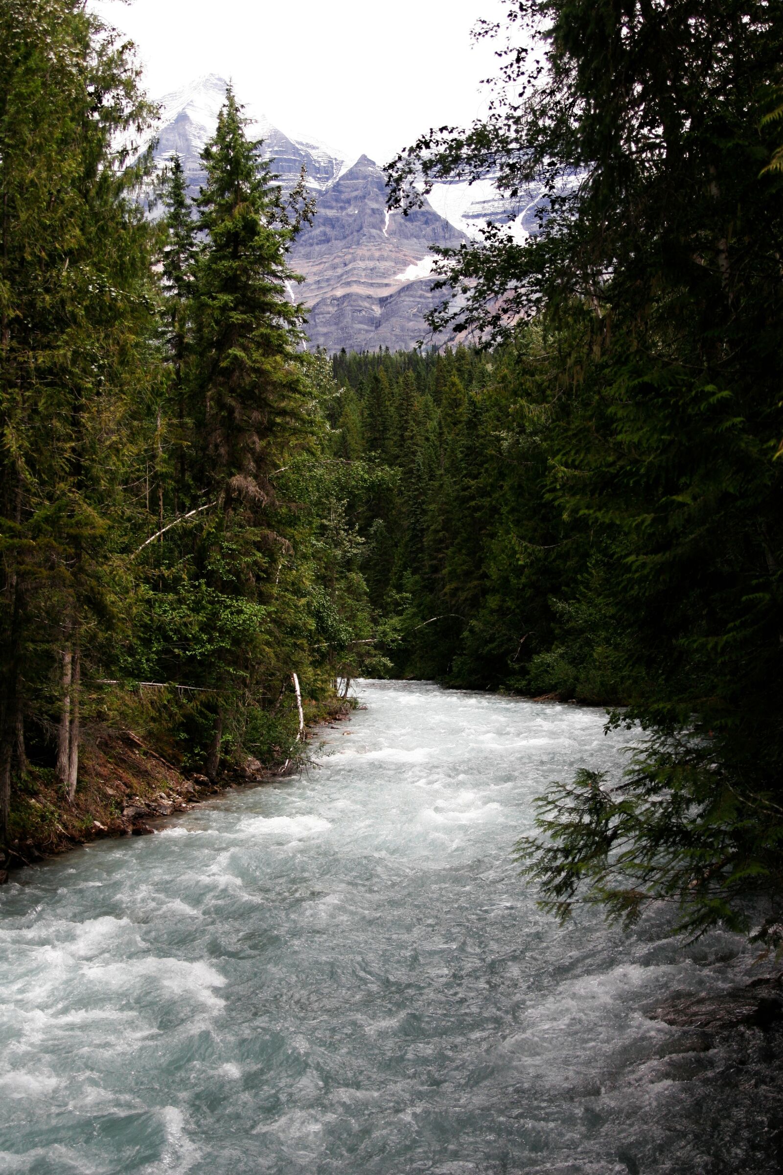 Canon EOS 20D sample photo. River, forest, trees photography