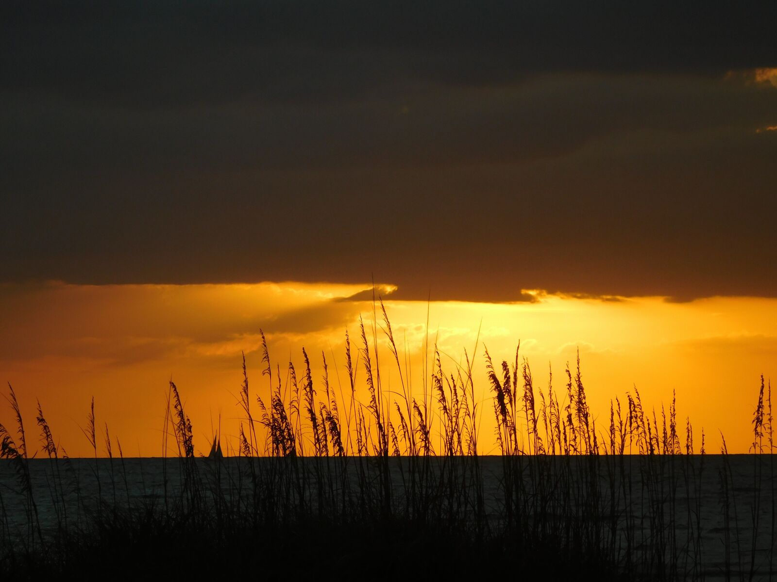 Nikon Coolpix S7000 sample photo. Sunset, sun, sunlight photography