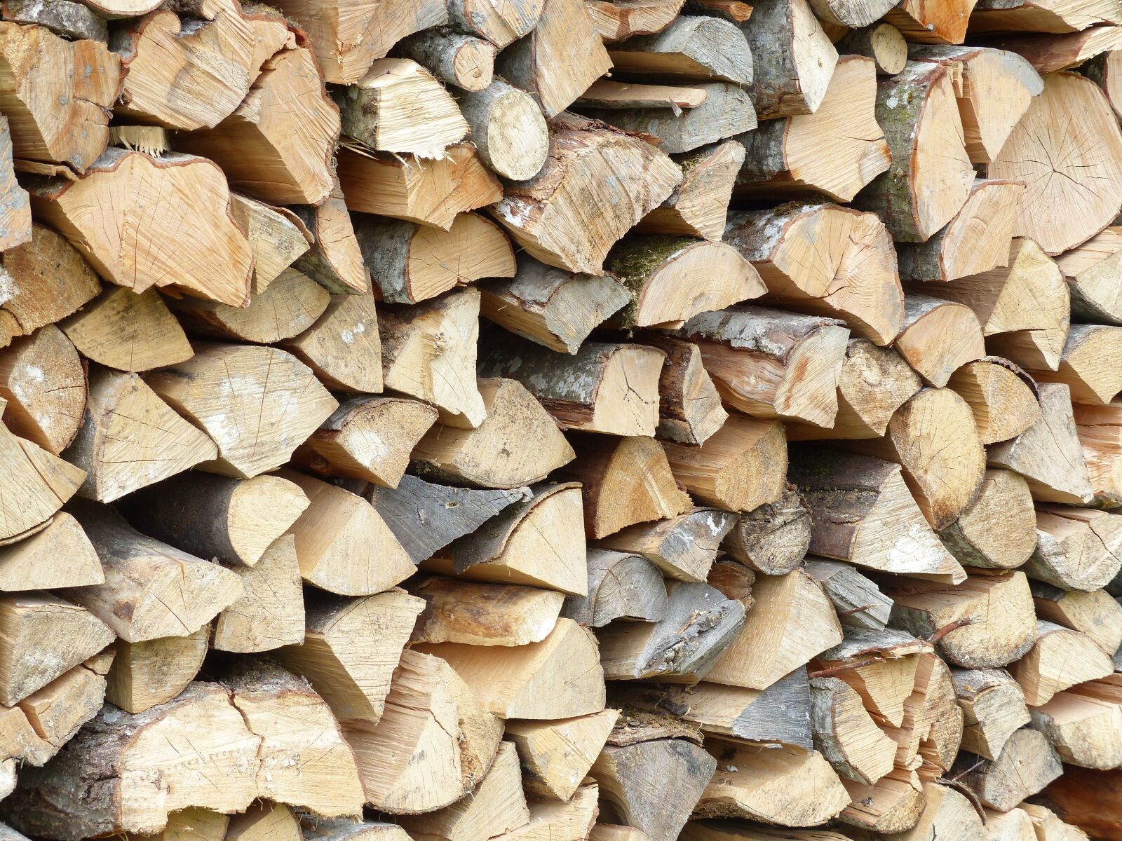 Panasonic Lumix DMC-FZ200 sample photo. Wood, structure, texture photography