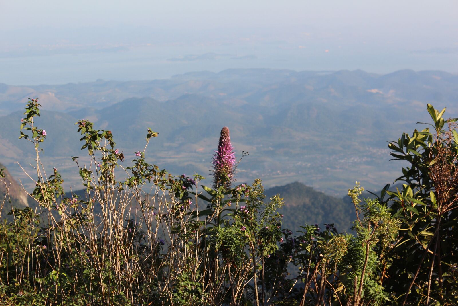 Canon EOS 600D (Rebel EOS T3i / EOS Kiss X5) sample photo. Nature, landscape, trees photography
