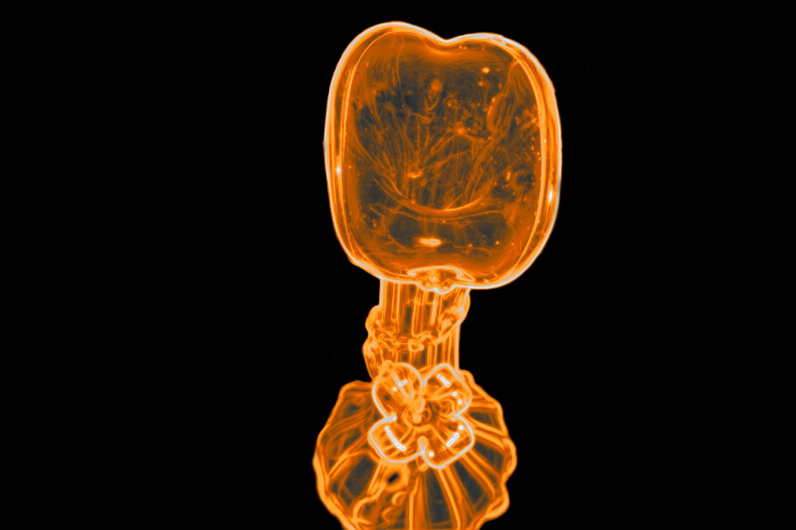 Nikon D5600 sample photo. Fire vase, vase, glow photography