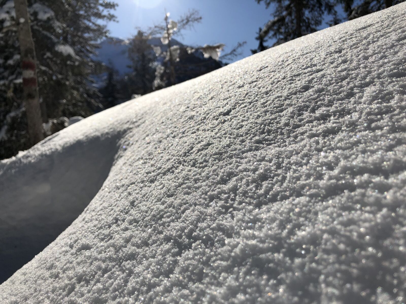 iPhone X back dual camera 4mm f/1.8 sample photo. Winter, snow, wintry photography