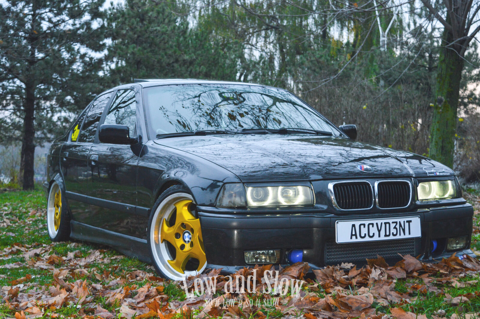 Nikon D3200 sample photo