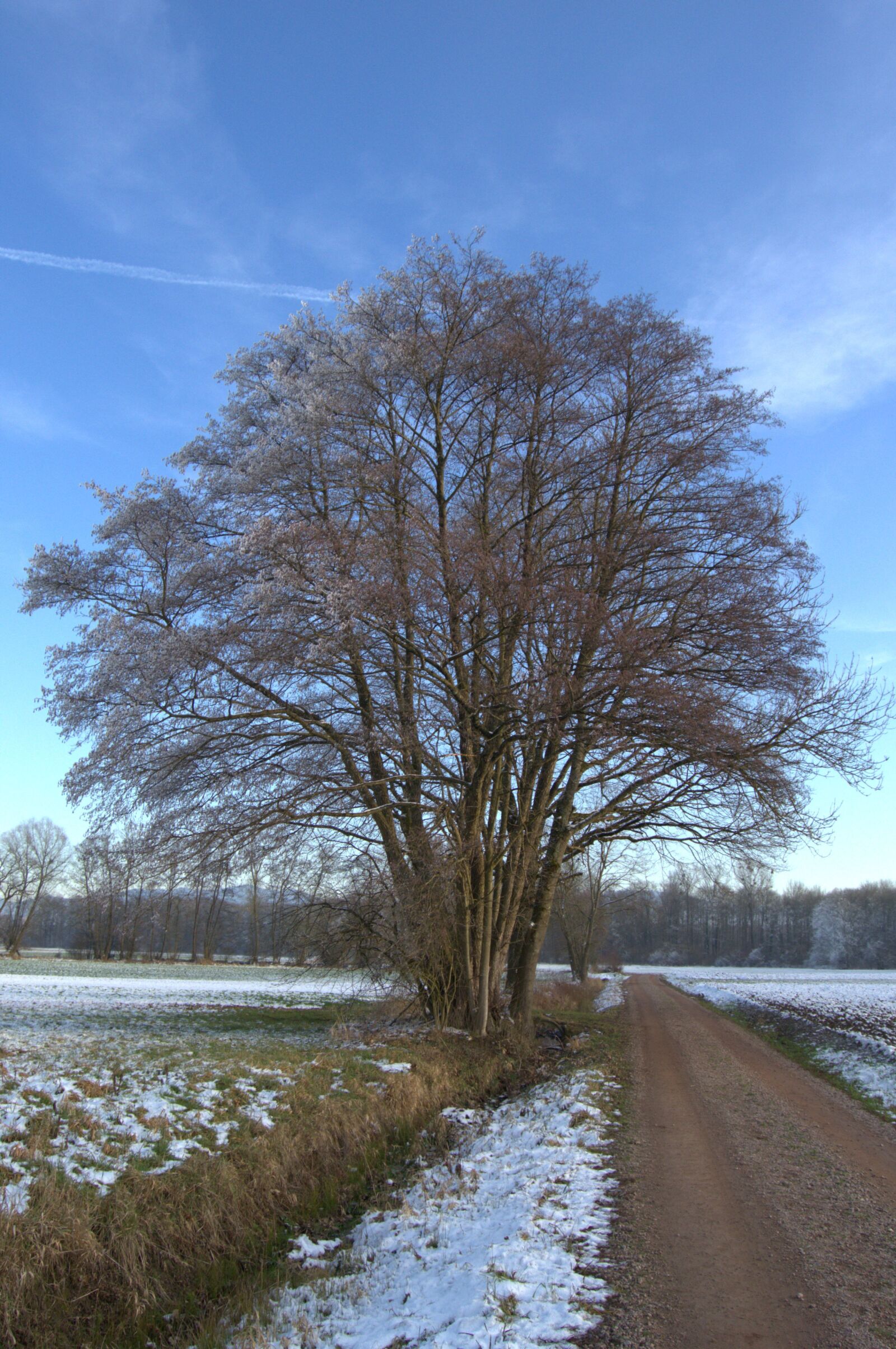 Nikon D3100 sample photo. Winter, away, snow photography