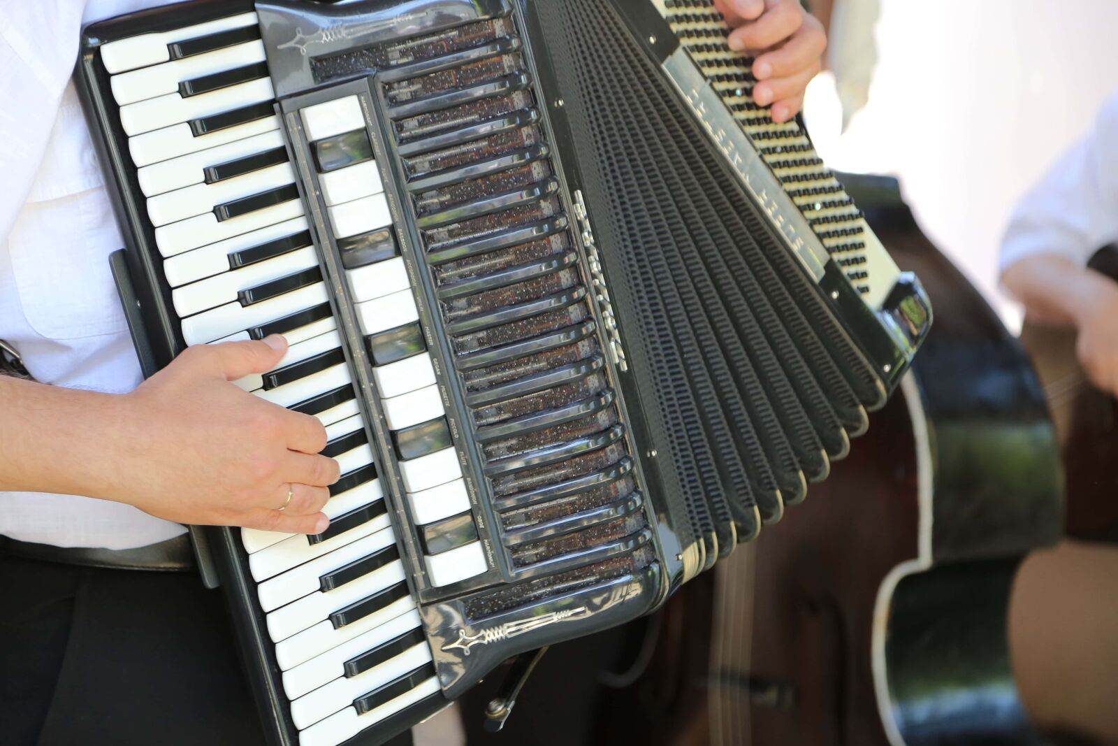 Canon EF 24-105mm F4L IS USM sample photo. Music, musician, sound, instrument photography
