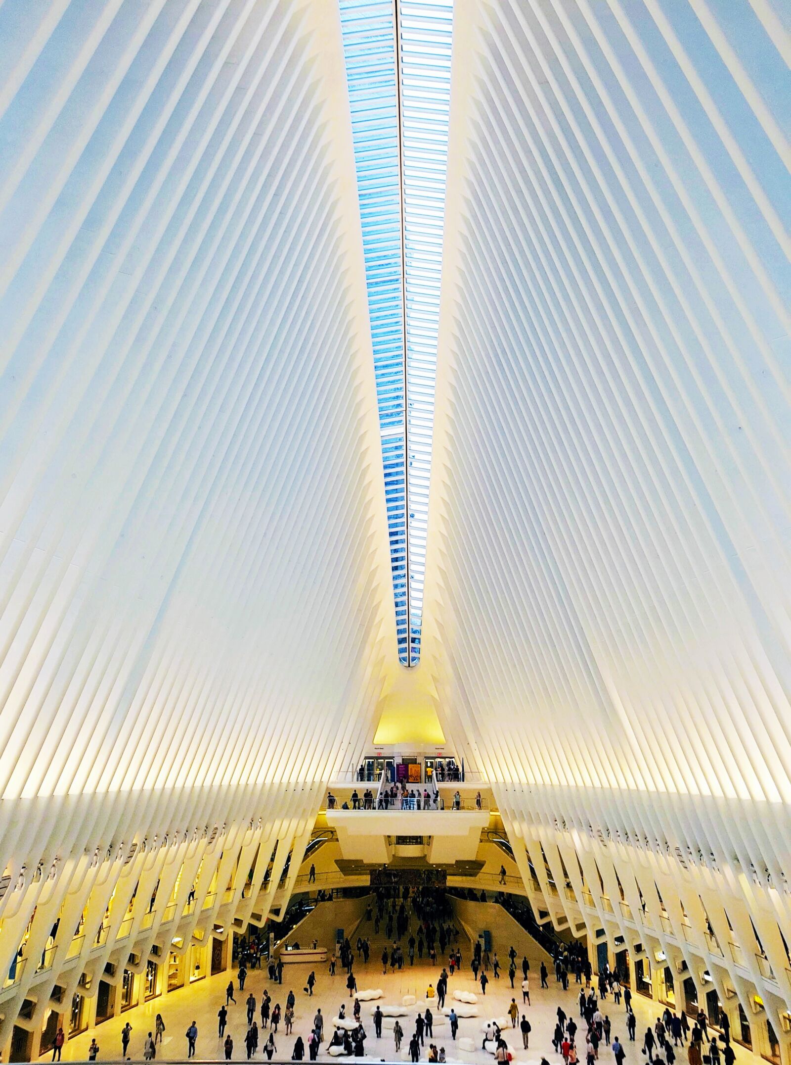 Samsung Galaxy S7 Edge sample photo. Oculus, new york, world photography