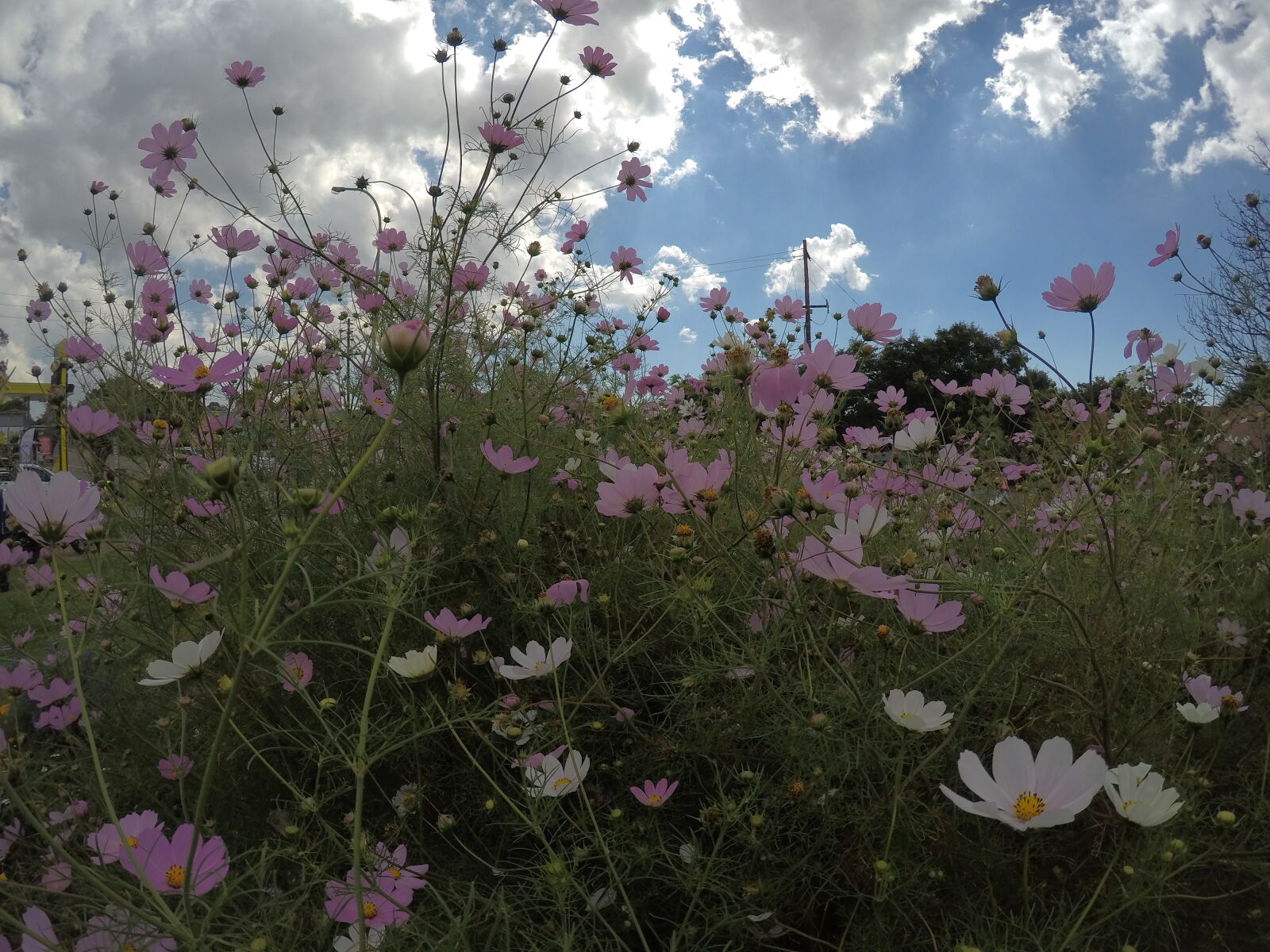GoPro Hero5 Black sample photo. Blue, sky, clouds, cloudy photography