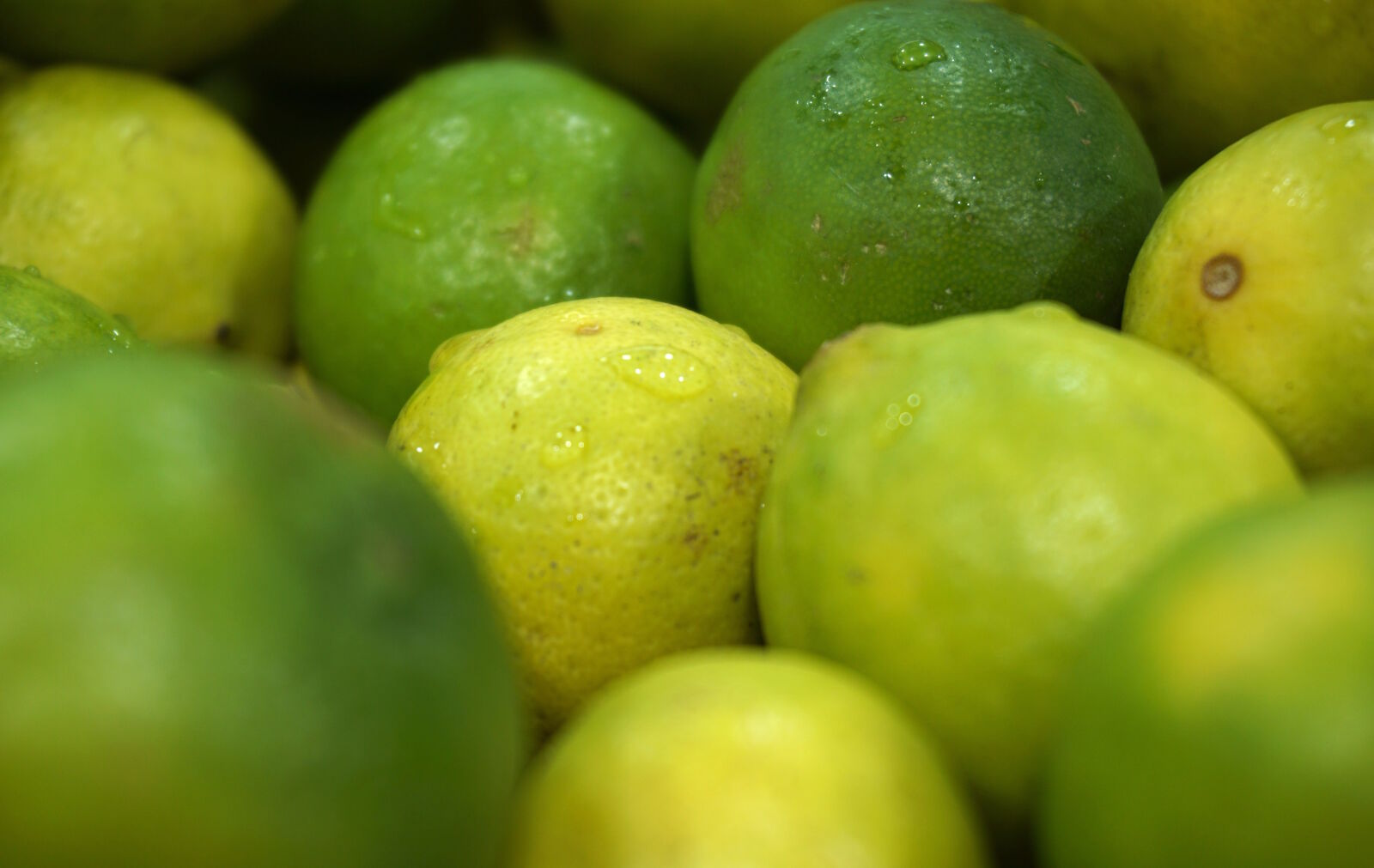 Sony E 16-50mm F3.5-5.6 PZ OSS sample photo. Blur, close, up, confection photography