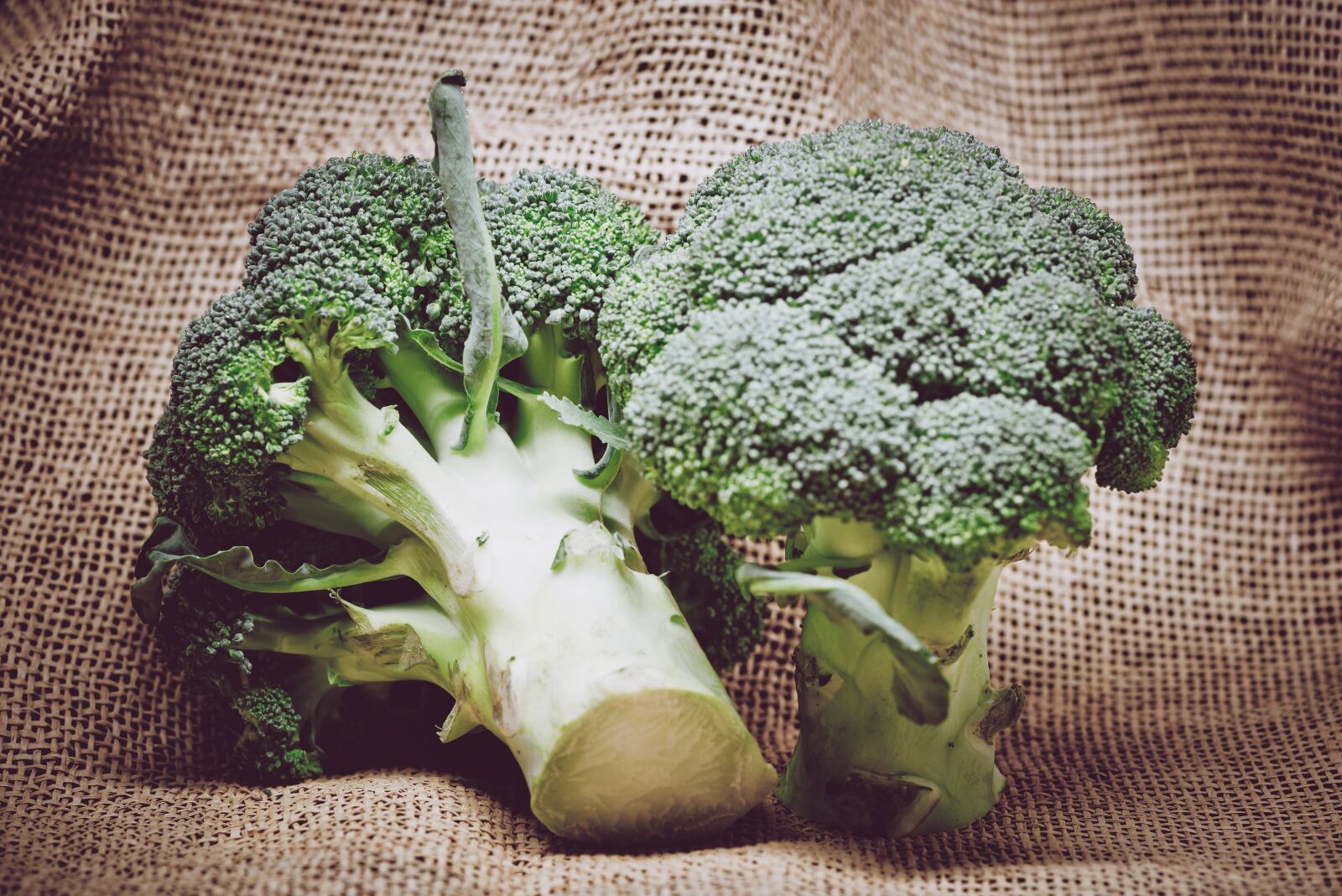Nikon D800 sample photo. Vegetable, burlap, broccoli photography