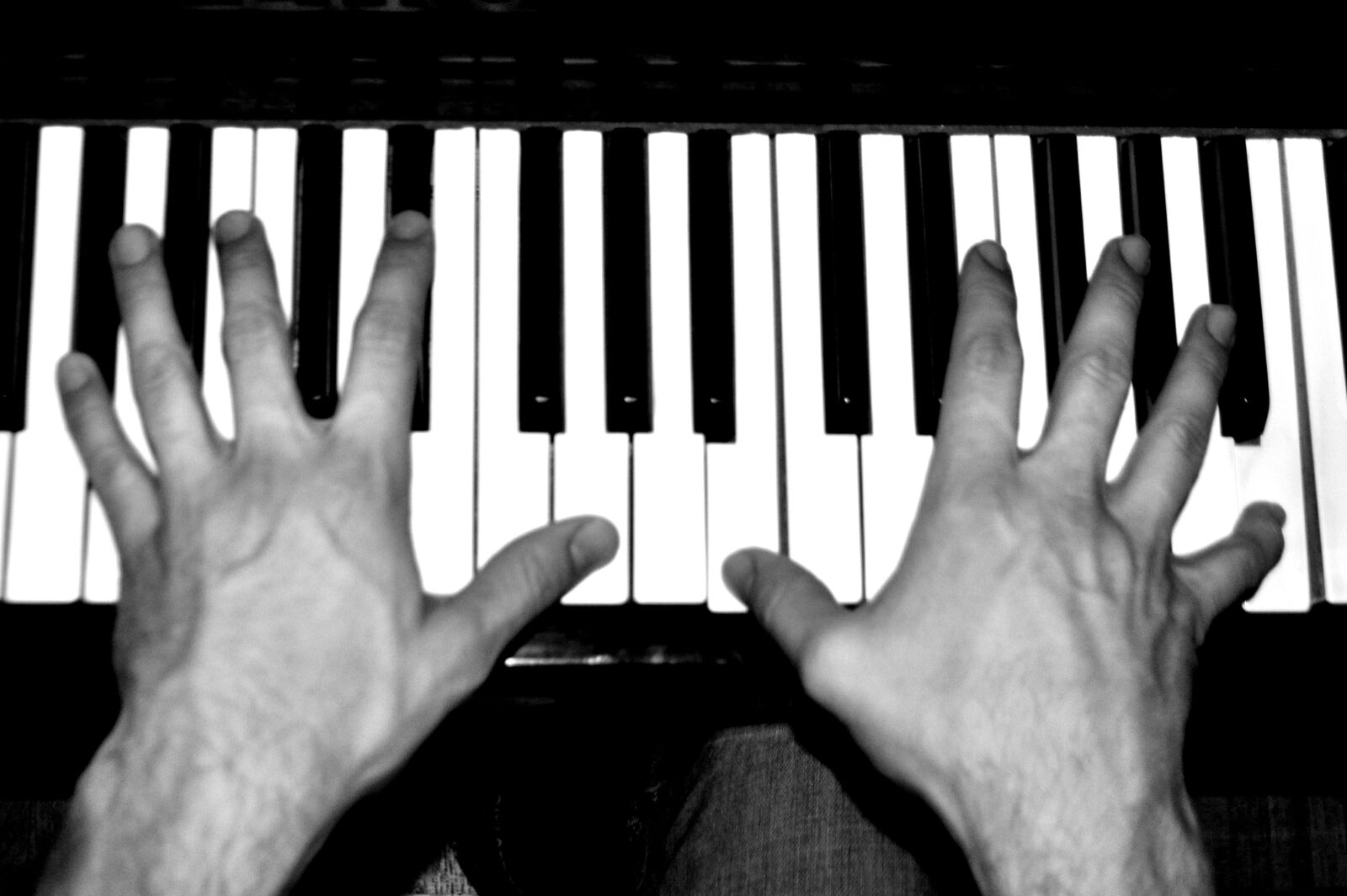 Nikon D5000 sample photo. Piano, music, instruments photography