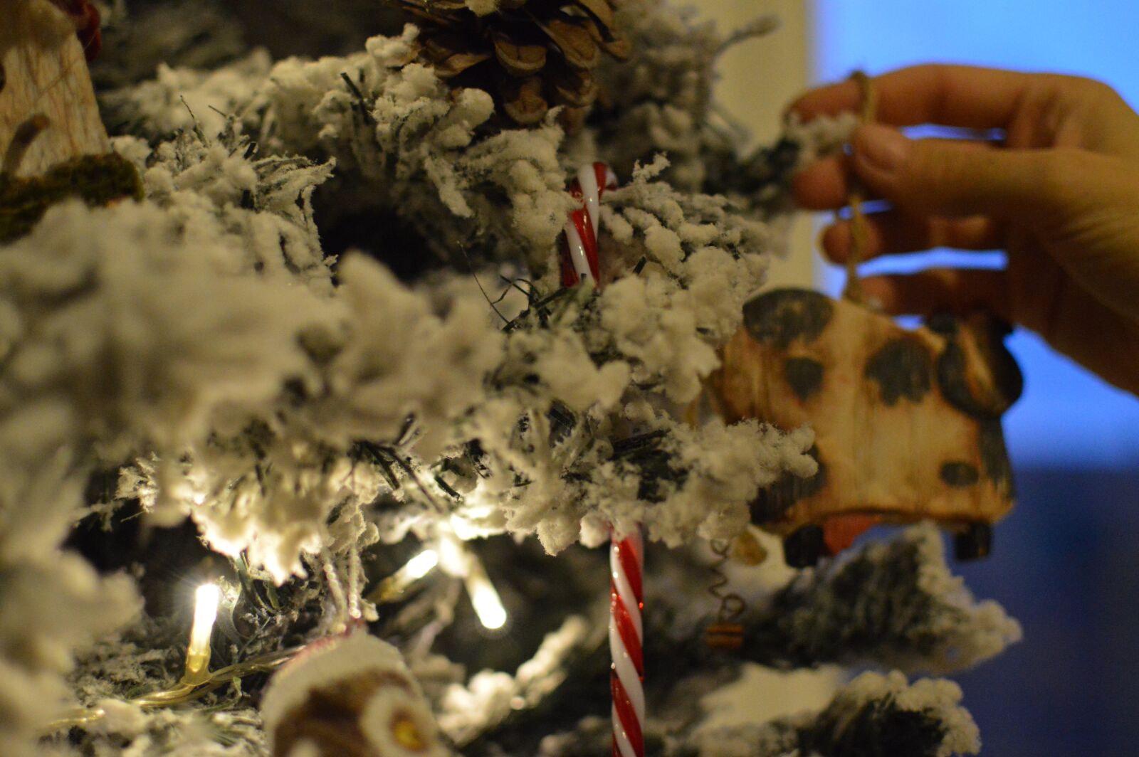 Nikon D3200 sample photo. Christmas, tree, family photography