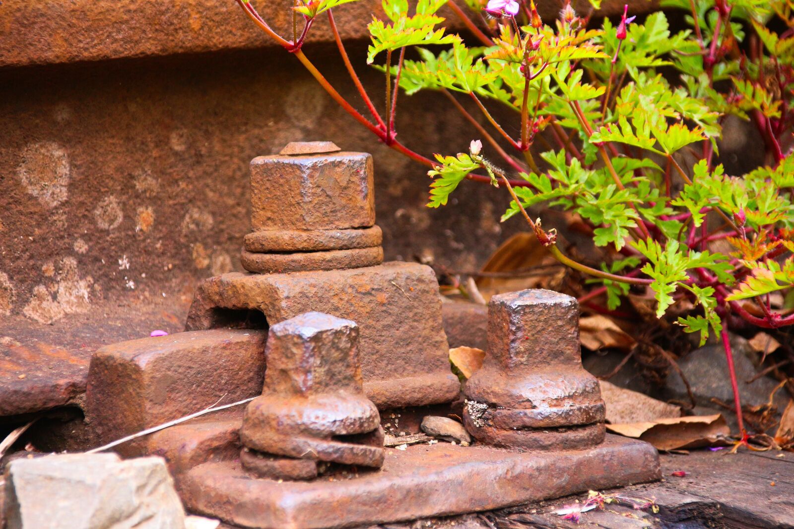 Canon EOS 700D (EOS Rebel T5i / EOS Kiss X7i) sample photo. Rust, screw, metal photography