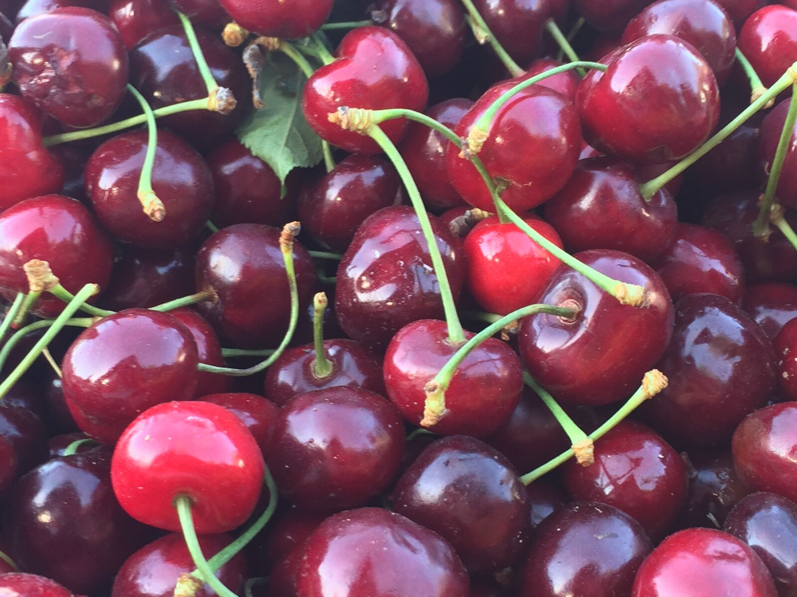 Apple iPhone 6 sample photo. Berries, cherries, red photography