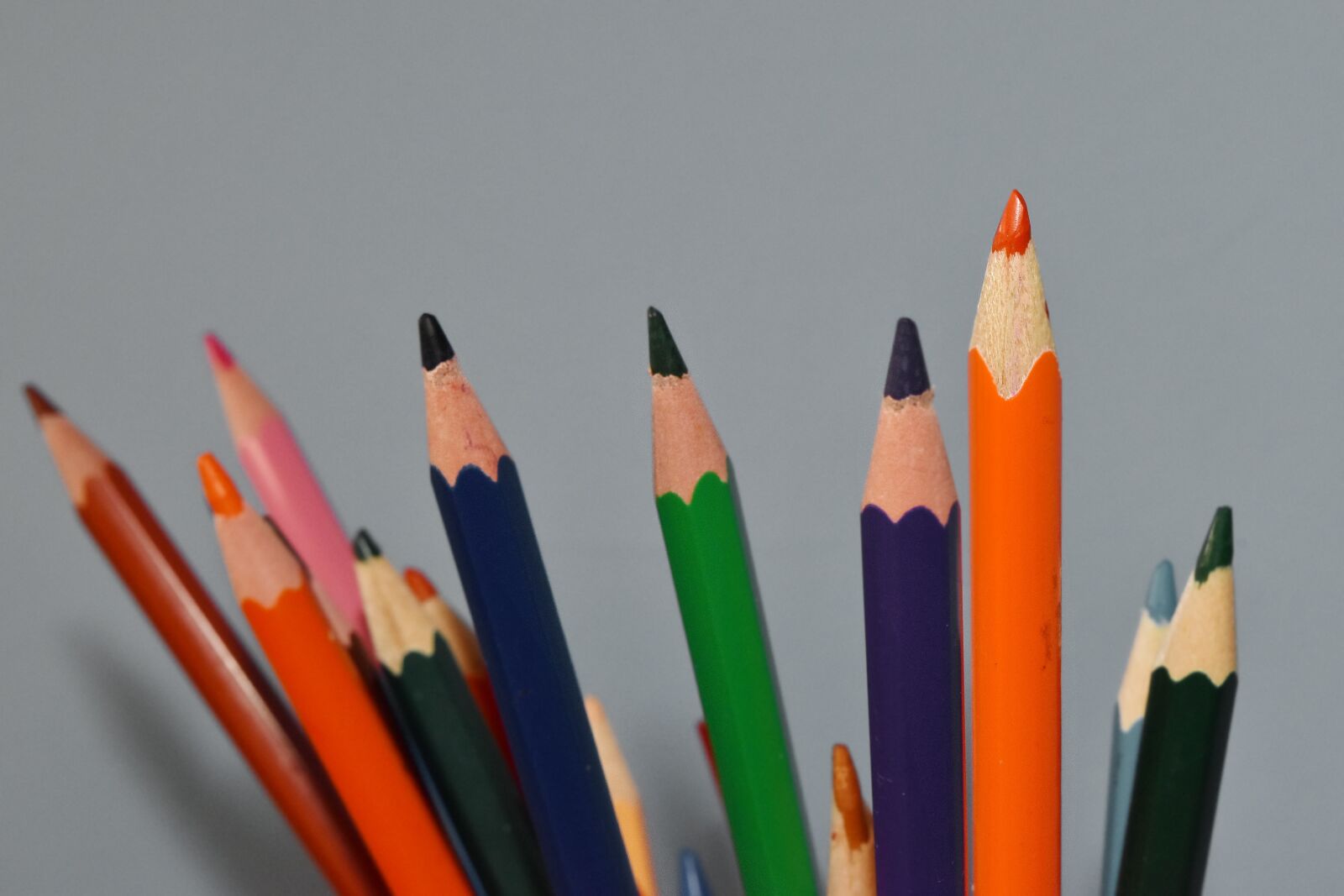 Nikon D5500 sample photo. Colors, crayons, drawing, sharp photography