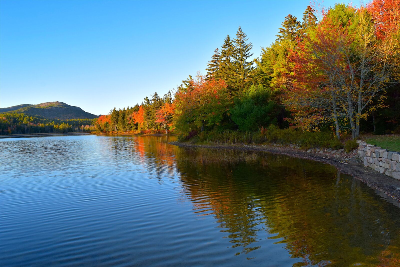 Nikon D3300 sample photo. Lake, trees, foliage photography
