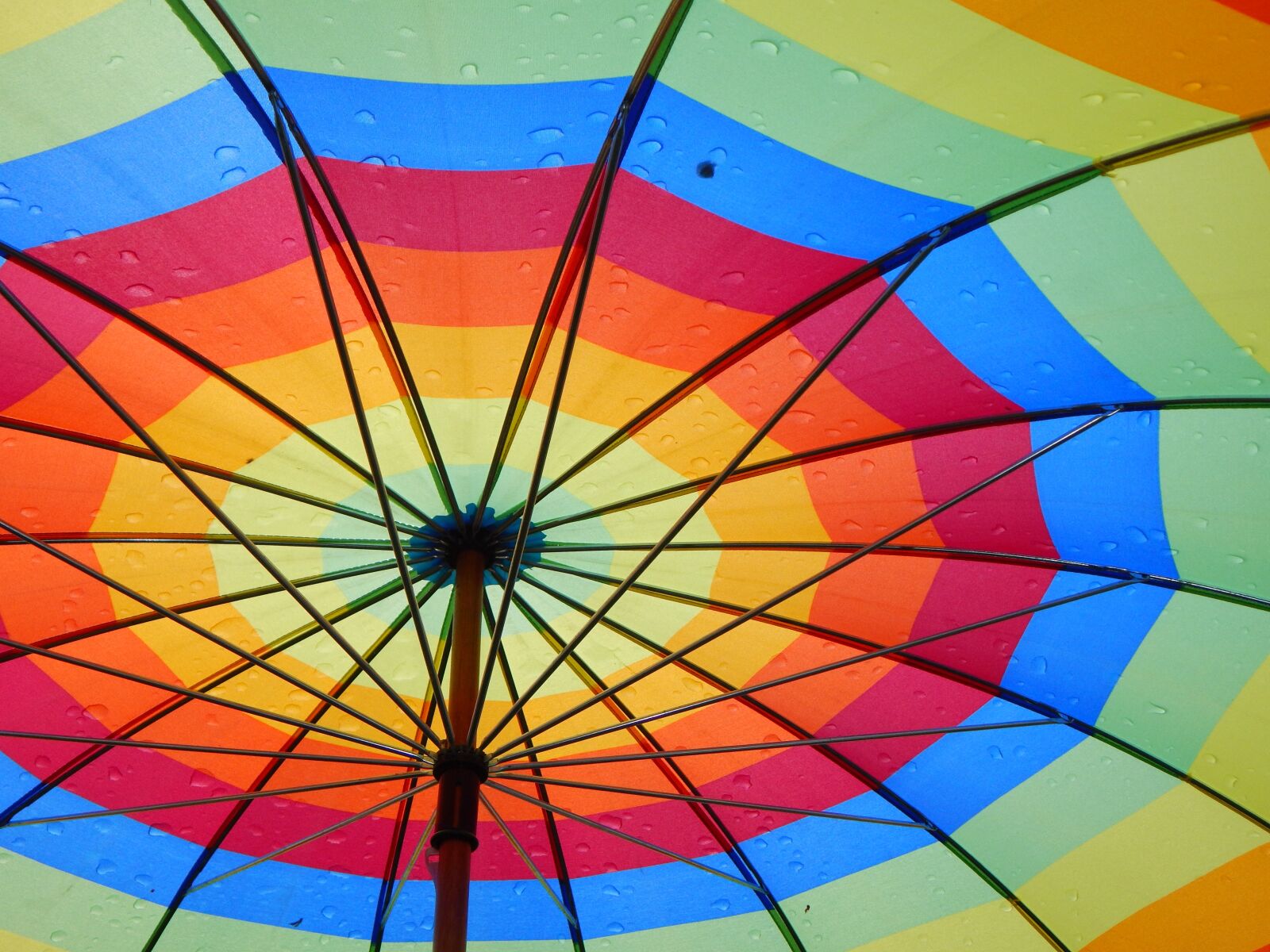 Nikon Coolpix L830 sample photo. Umbrella, rain, colorful photography