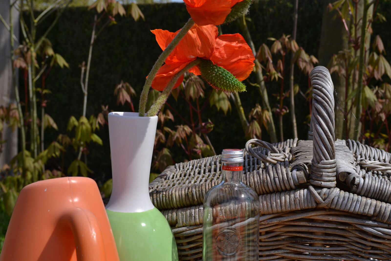 Nikon D3100 sample photo. Art, basket, contrast, green photography