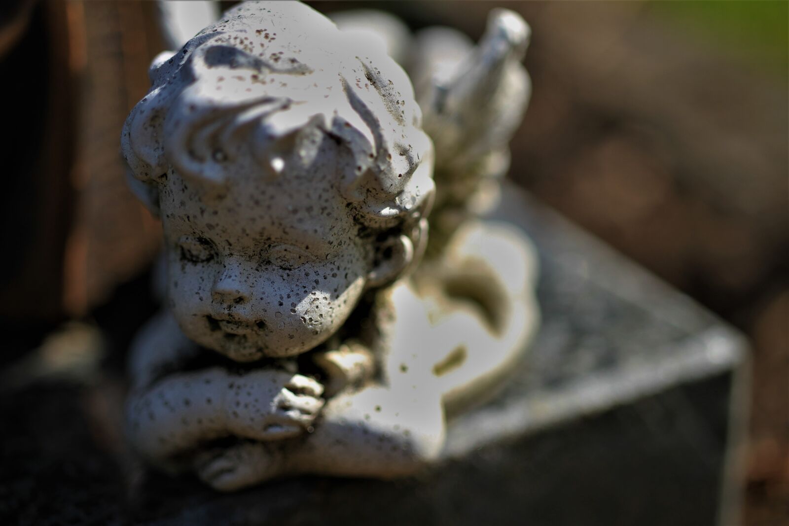 Canon EOS 7D sample photo. Angel, cemetery, harmony photography