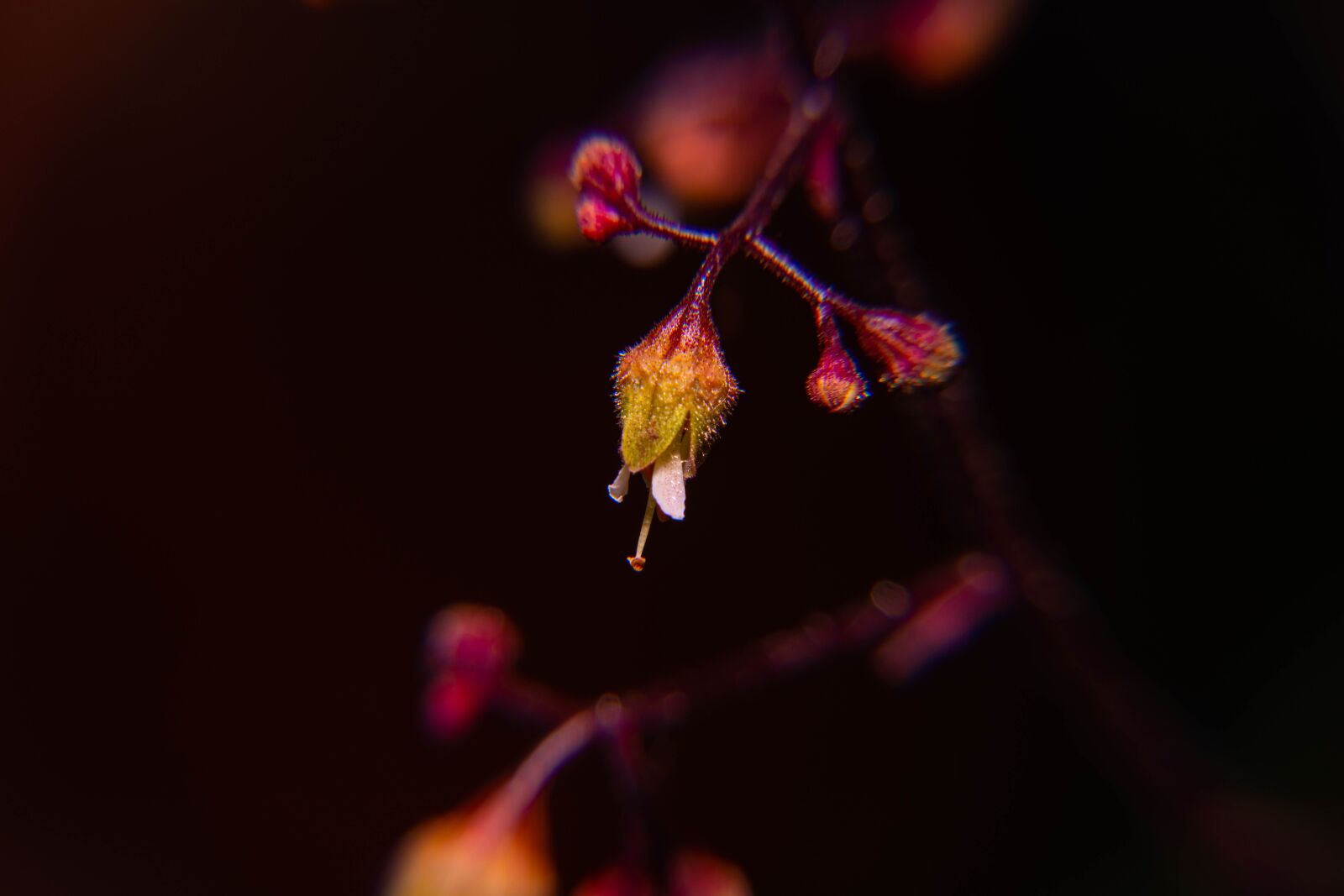 Nikon D850 sample photo. Spring, pollen, yellow photography