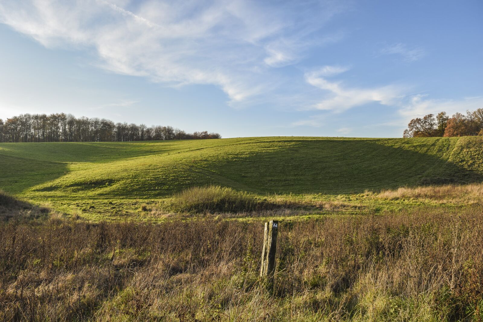 Nikon D3300 sample photo. Landscape, autumn, nature photography