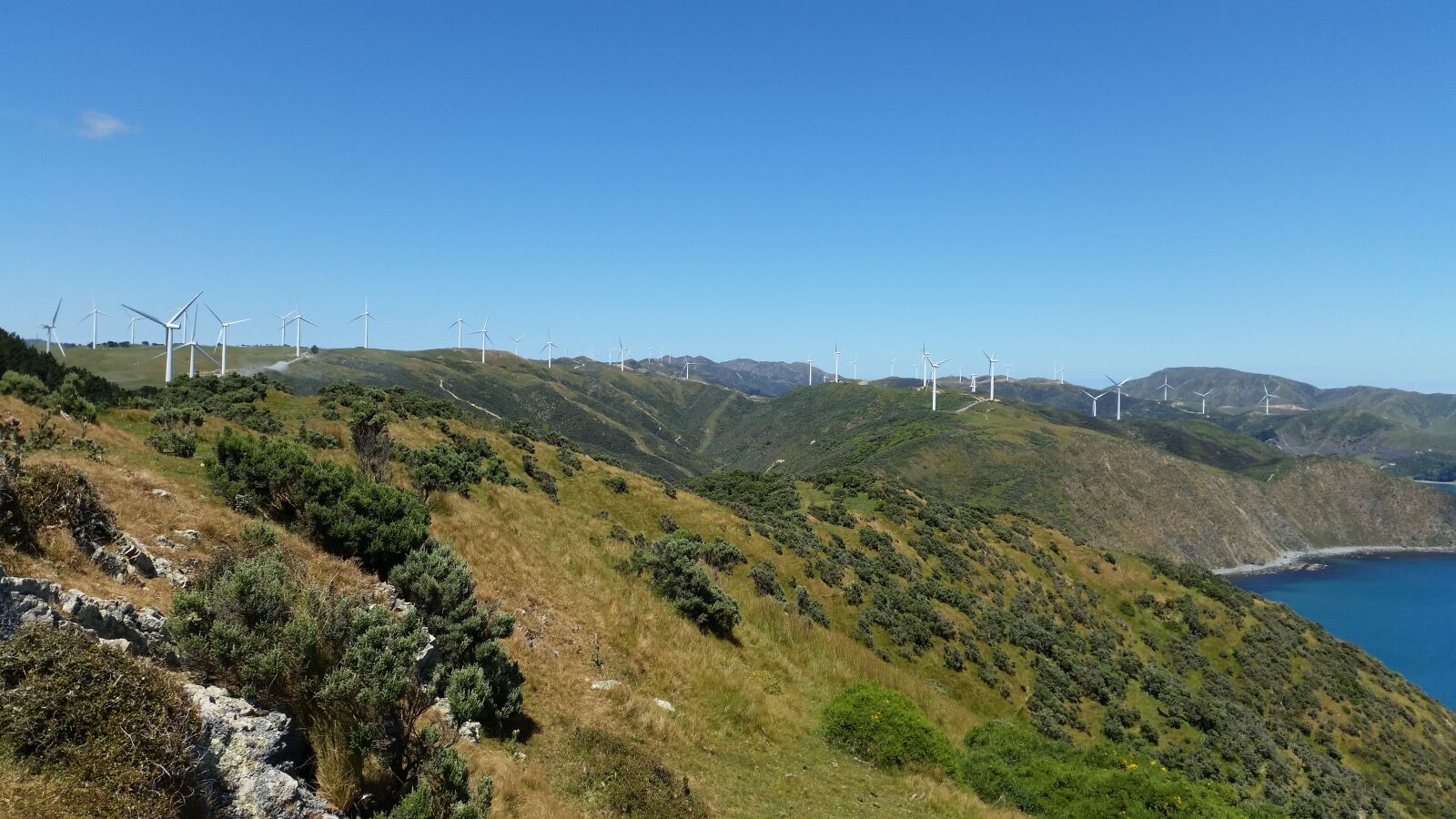 Samsung Galaxy S5 sample photo. Makara, wellington, wind turbines photography