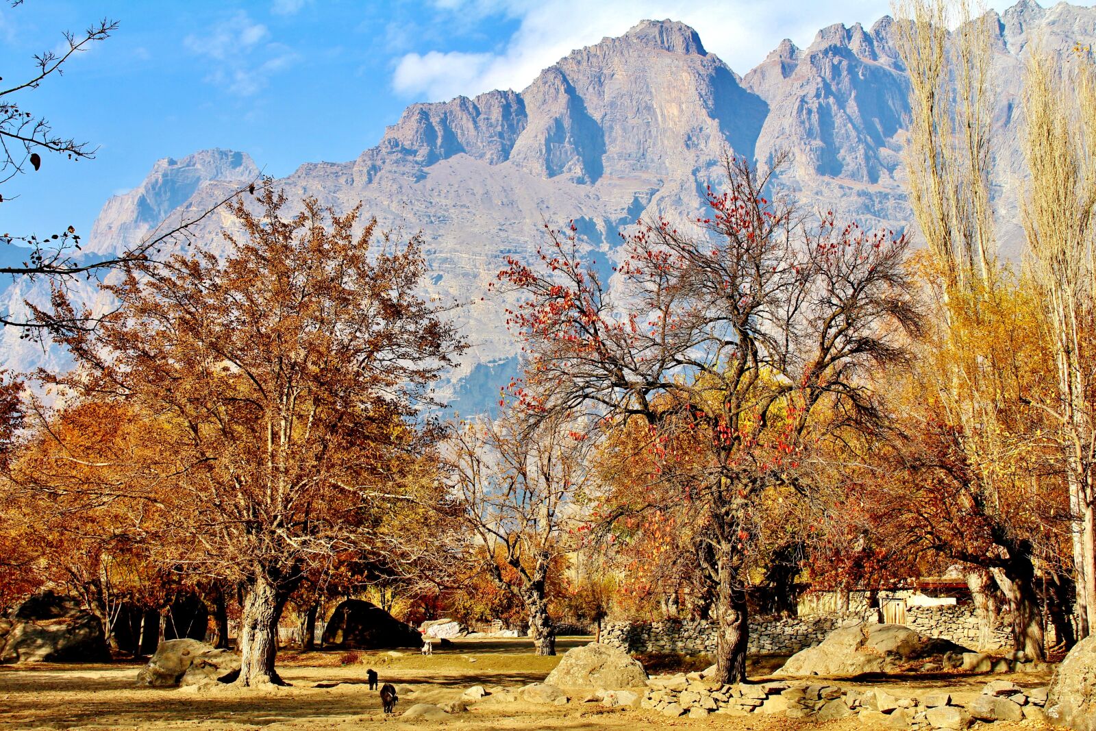 Canon EOS 700D (EOS Rebel T5i / EOS Kiss X7i) sample photo. Mountains, pakistan, skardu photography