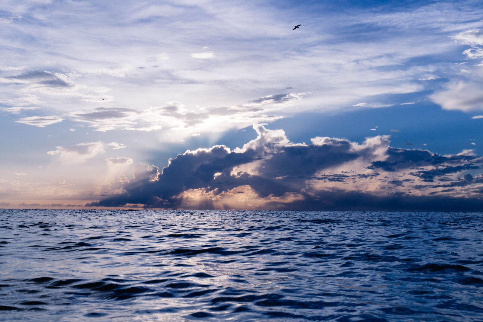 Canon EOS 6D + Canon EF 50mm F1.8 STM sample photo. Backlit, beautiful, clouds, light photography