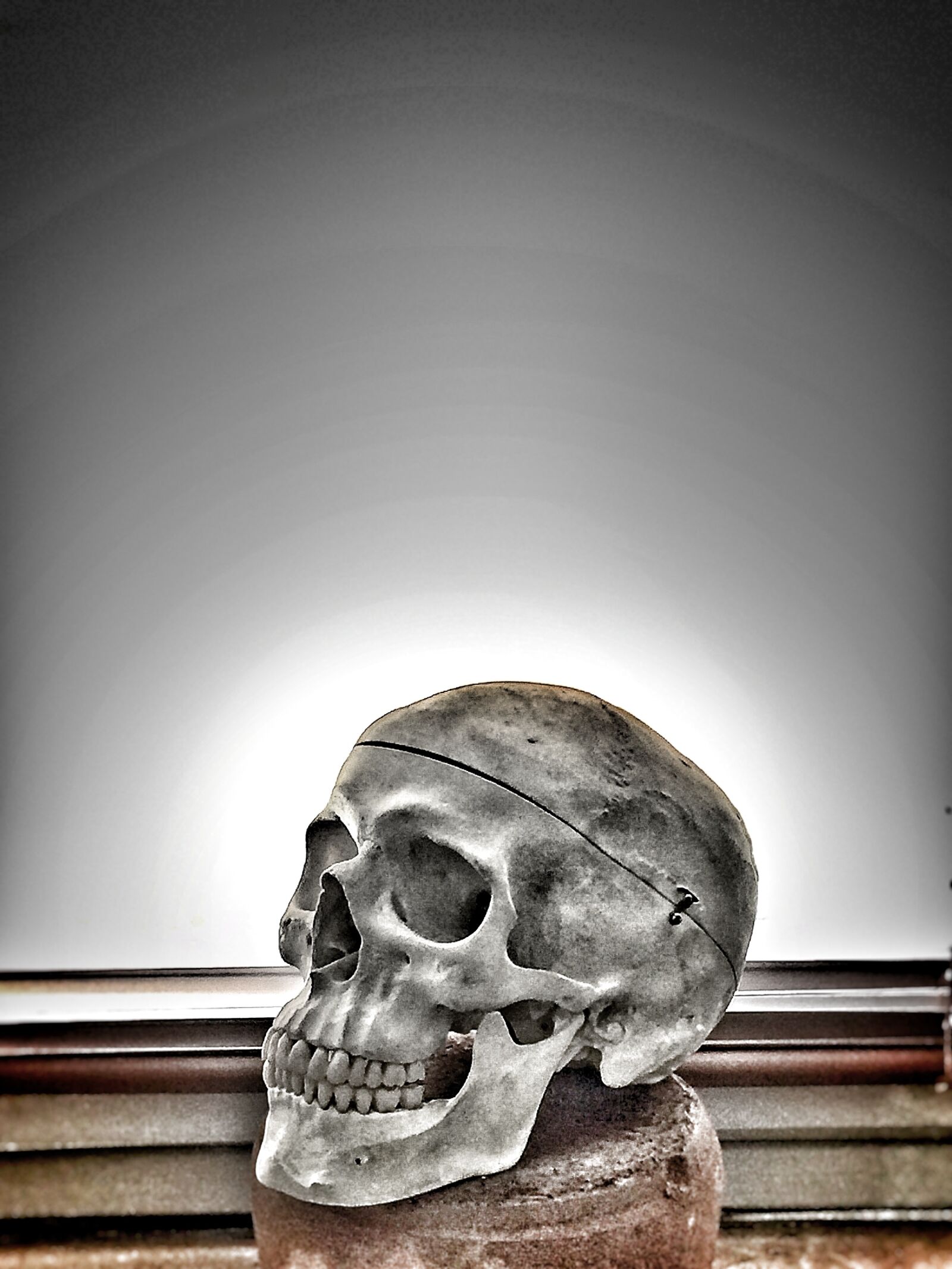 iPhone 6 Plus back camera 4.15mm f/2.2 sample photo. Skull, anatomy, skeleton photography