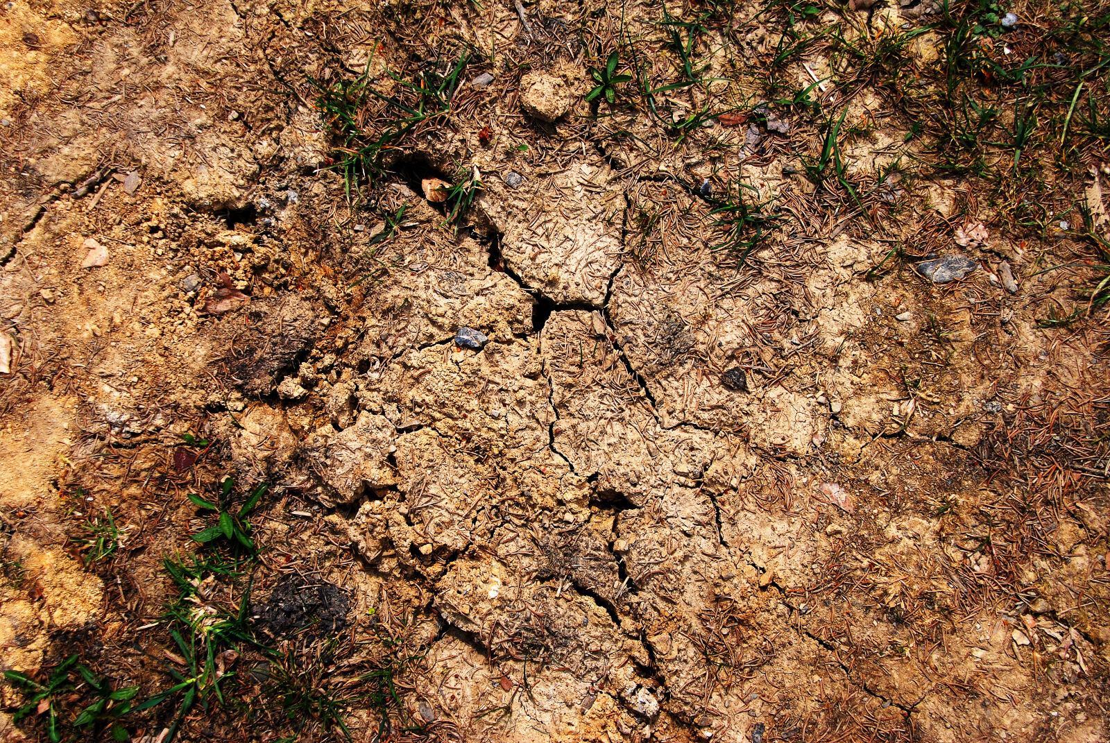 Nikon D40X + Sigma 18-200mm F3.5-6.3 DC OS HSM sample photo. Cracked, earth, ground photography