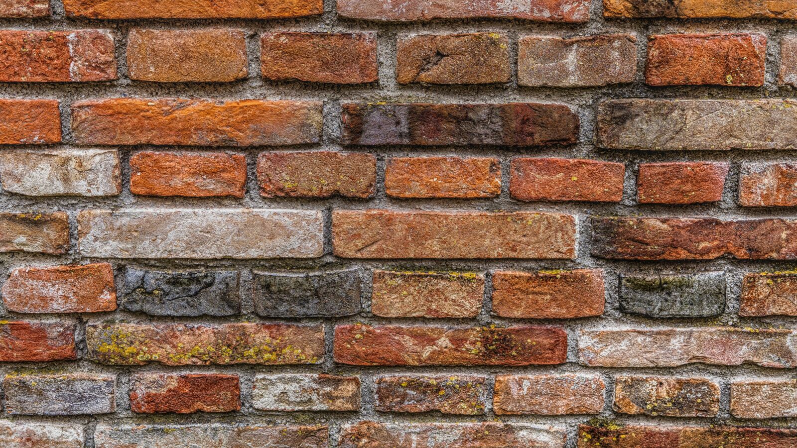 Sony a6300 + Sigma 30mm F2.8 EX DN sample photo. Texture, wall, masonry photography