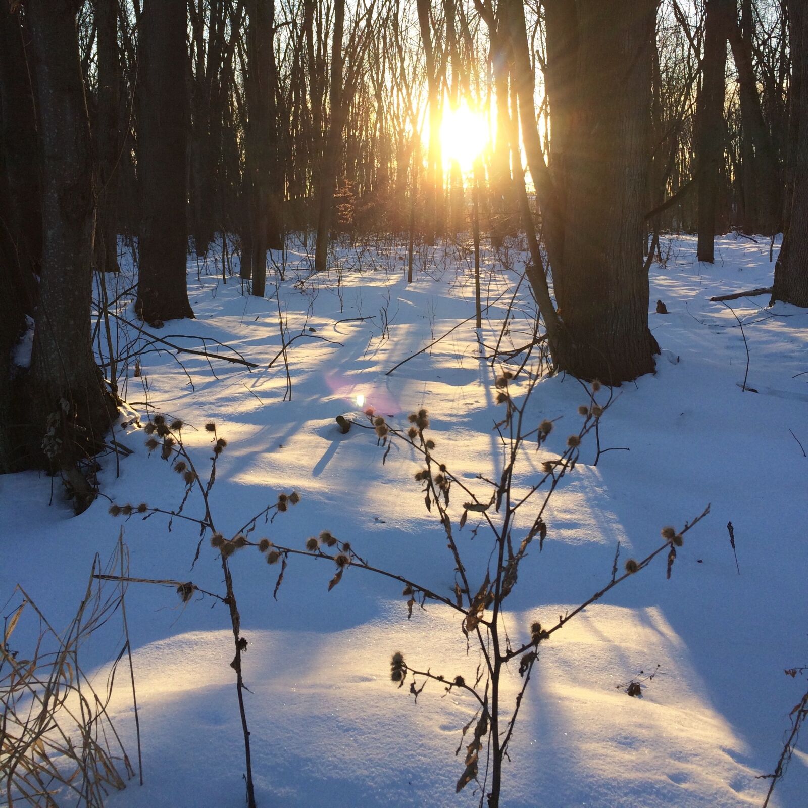 iPhone 5s back camera 4.15mm f/2.2 sample photo. Winter, québec, canada photography