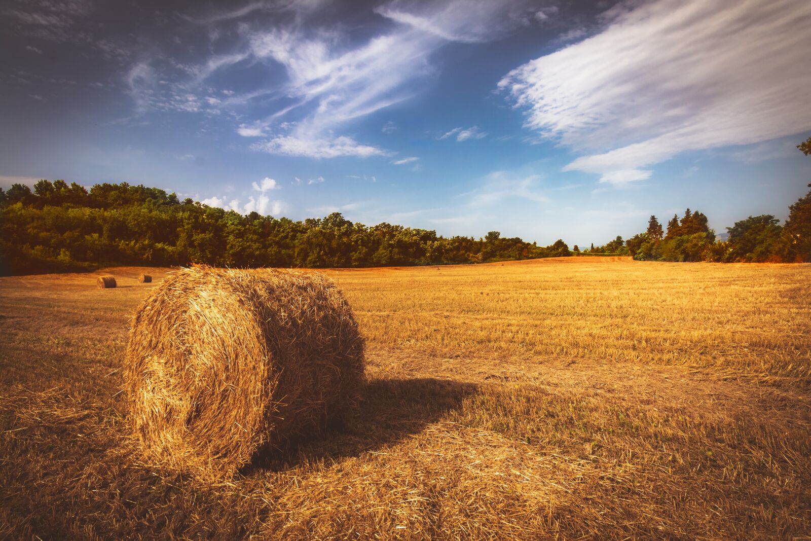Canon EOS 1300D (EOS Rebel T6 / EOS Kiss X80) sample photo. Straw, hay, field photography