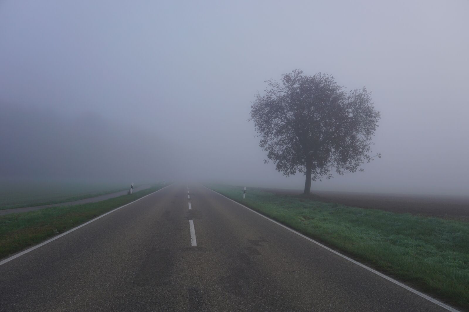 Sony E 16-50mm F3.5-5.6 PZ OSS sample photo. Fog, morning, autumn photography
