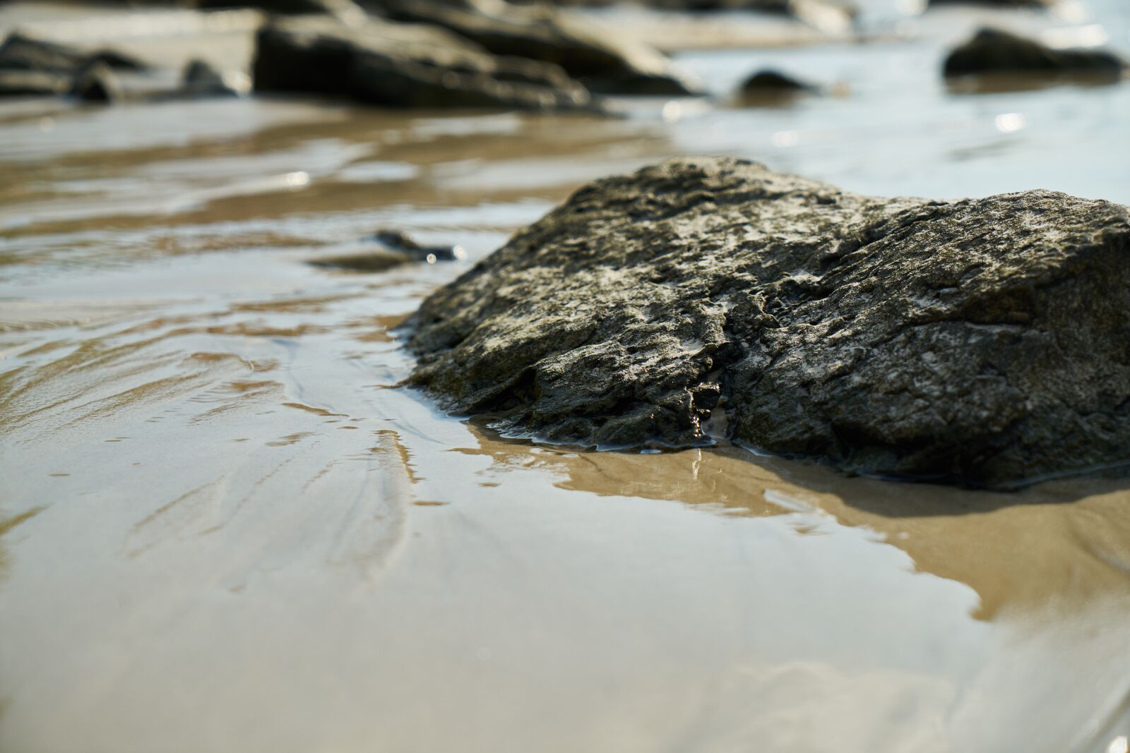 Sony a7R II sample photo. Water, sand, marine photography