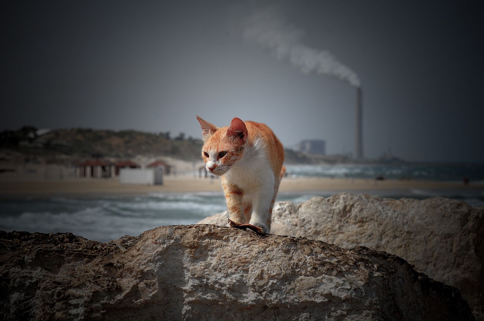 Nikon D7000 sample photo. Outdoors, nature, water photography
