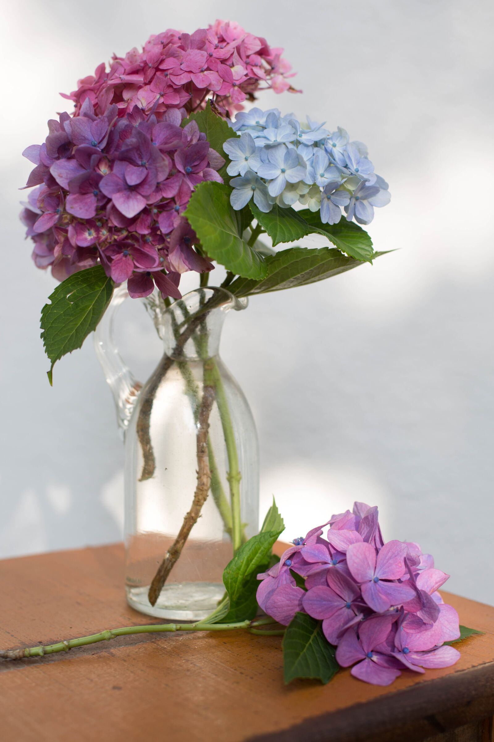 Canon EF 50mm F1.4 USM sample photo. Flower, vase, glass photography