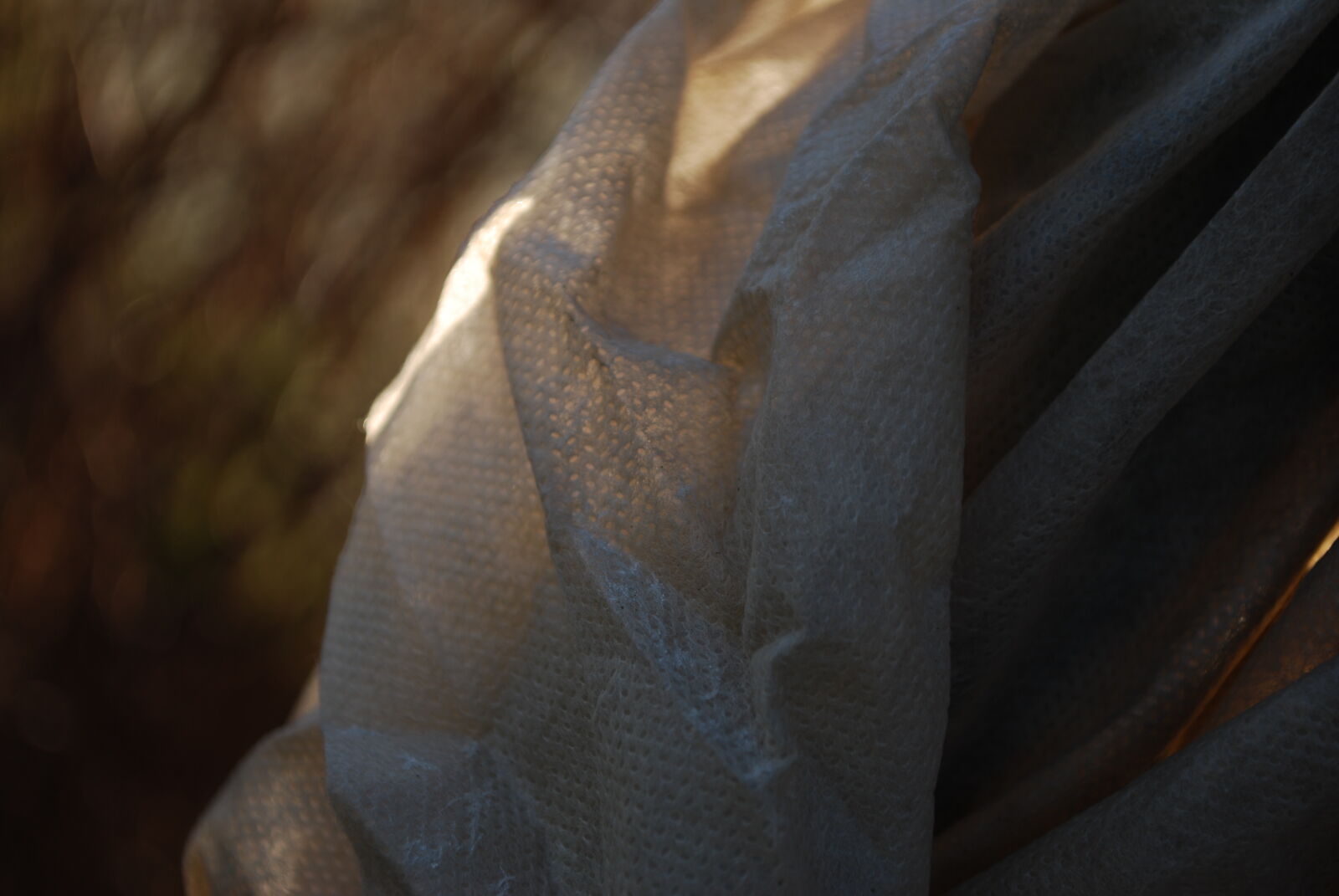 Nikon D60 sample photo. Dark, fabric, garden, texture photography