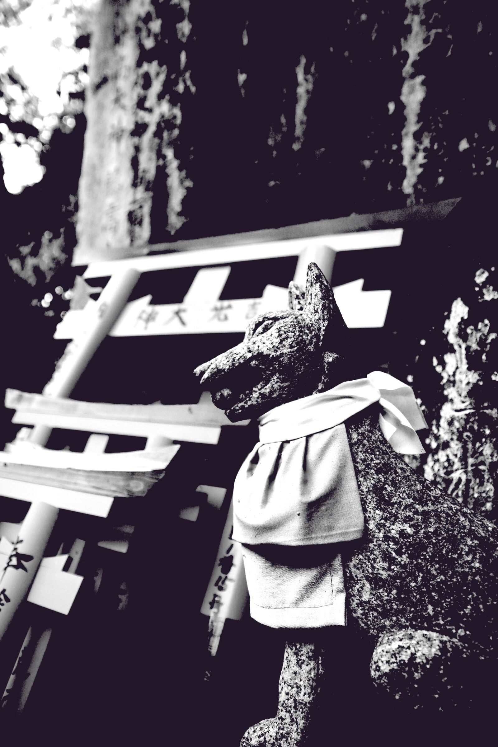 Canon EOS 70D sample photo. Fox, shrine, japan photography