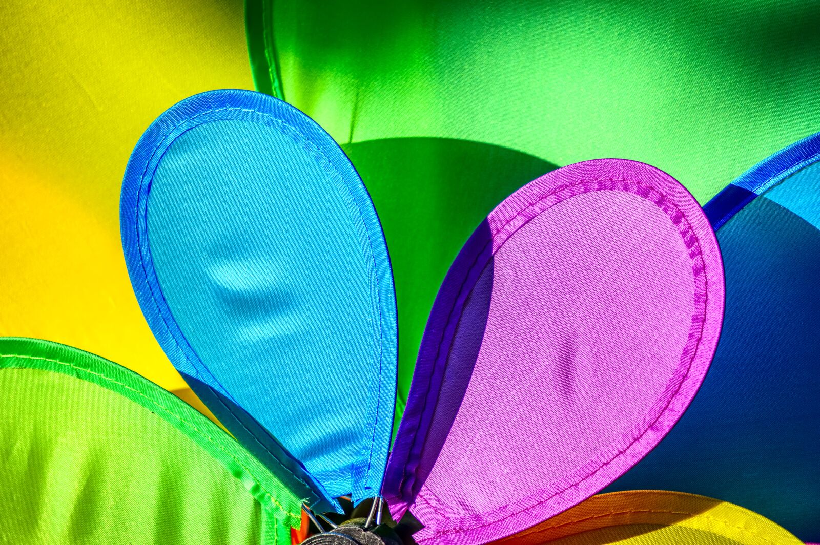 Sony a6000 sample photo. Pinwheel, colorful, wing photography