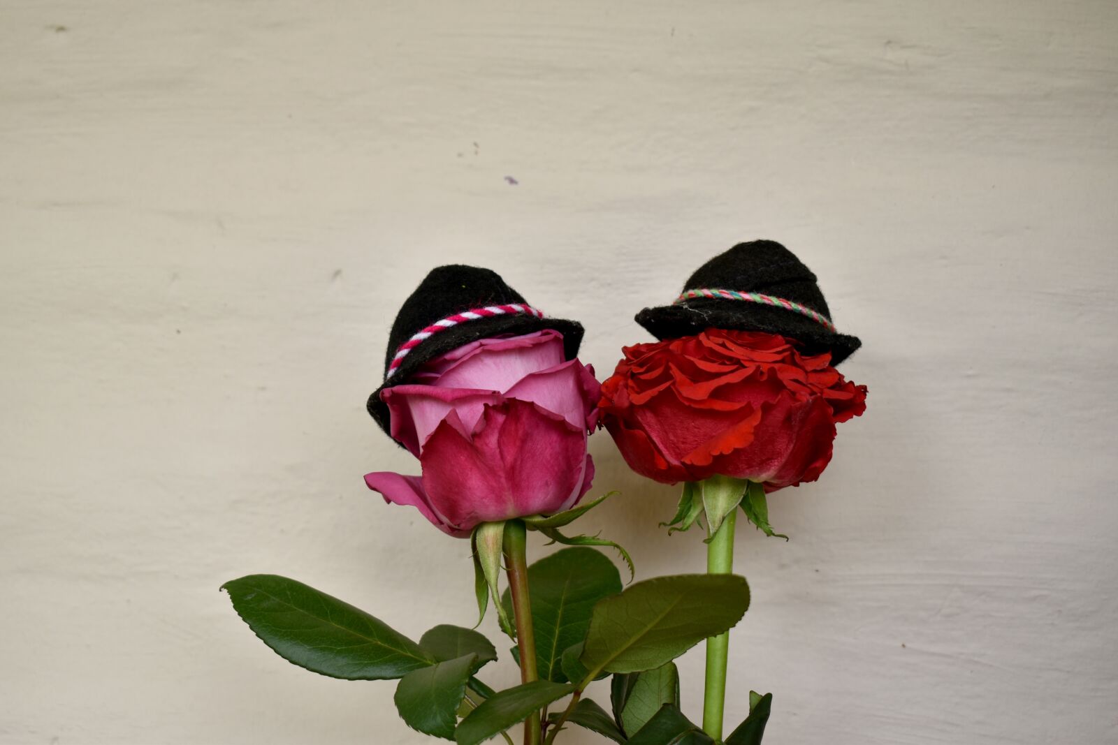 Nikon D3500 sample photo. Roses, couple, wedding photography
