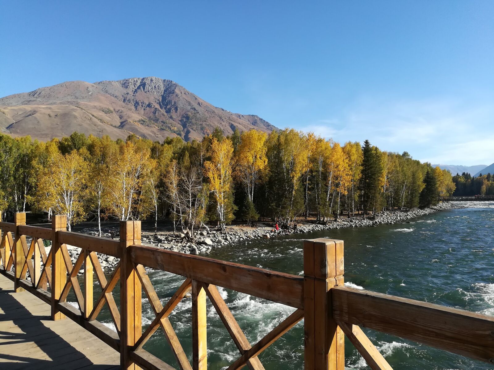 HUAWEI honor 6x sample photo. Bridge, autumn, trees photography