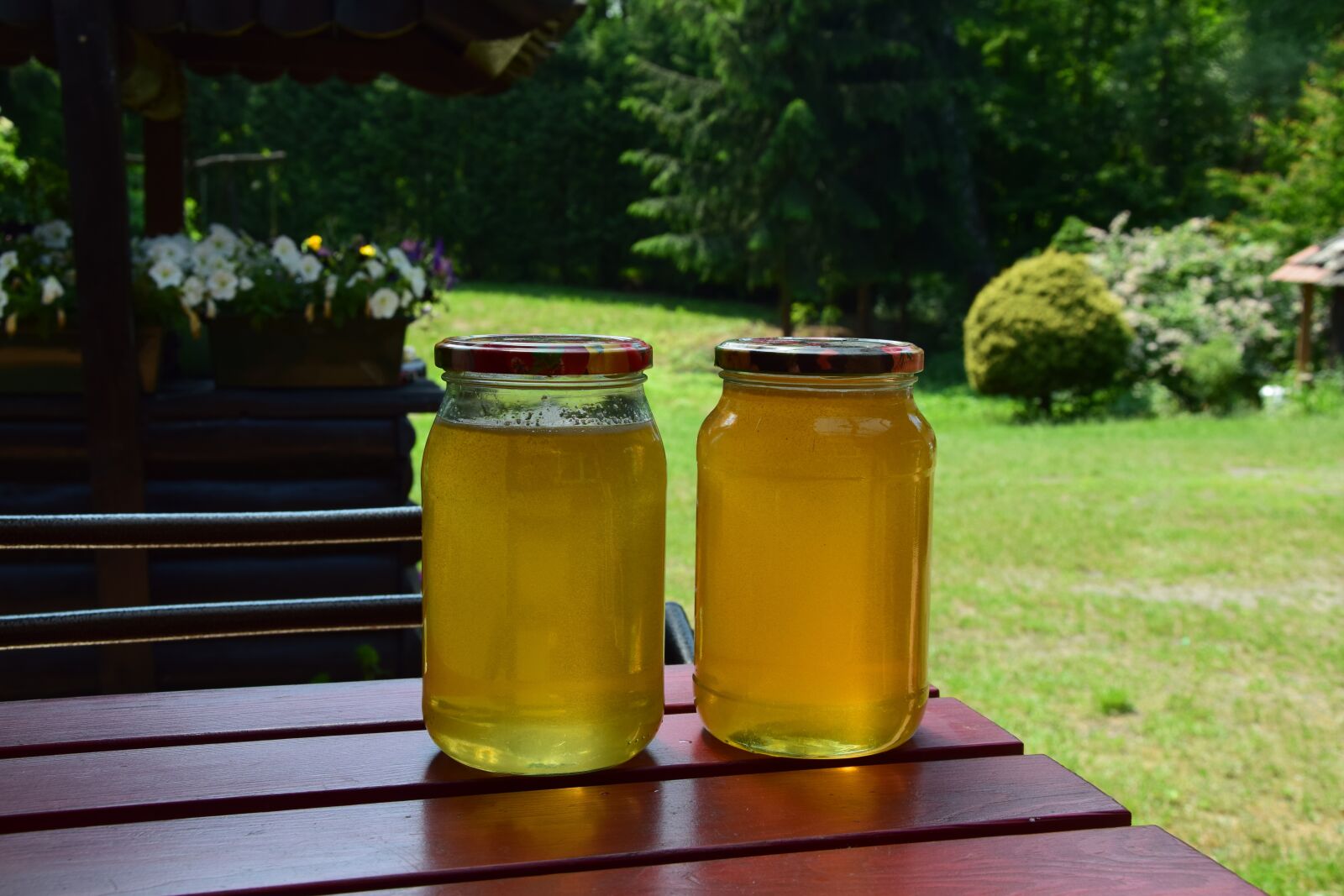Nikon D5300 sample photo. Honey, spring, nature photography