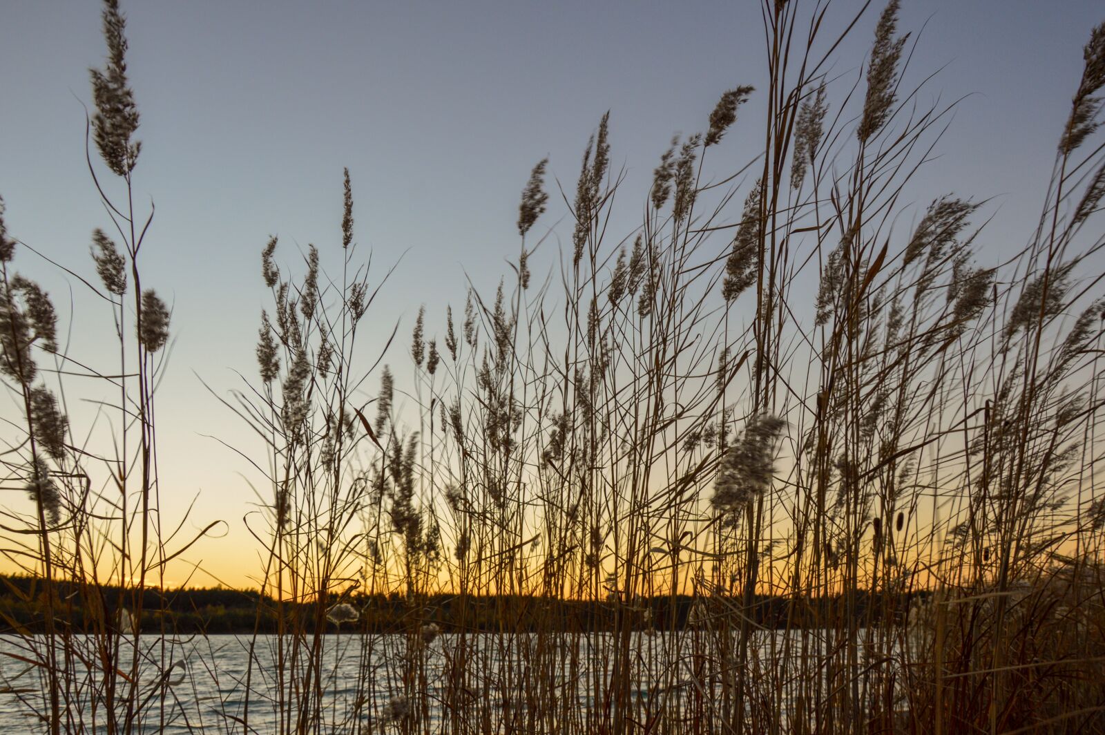 Nikon D3200 sample photo. Water, lake, pond photography