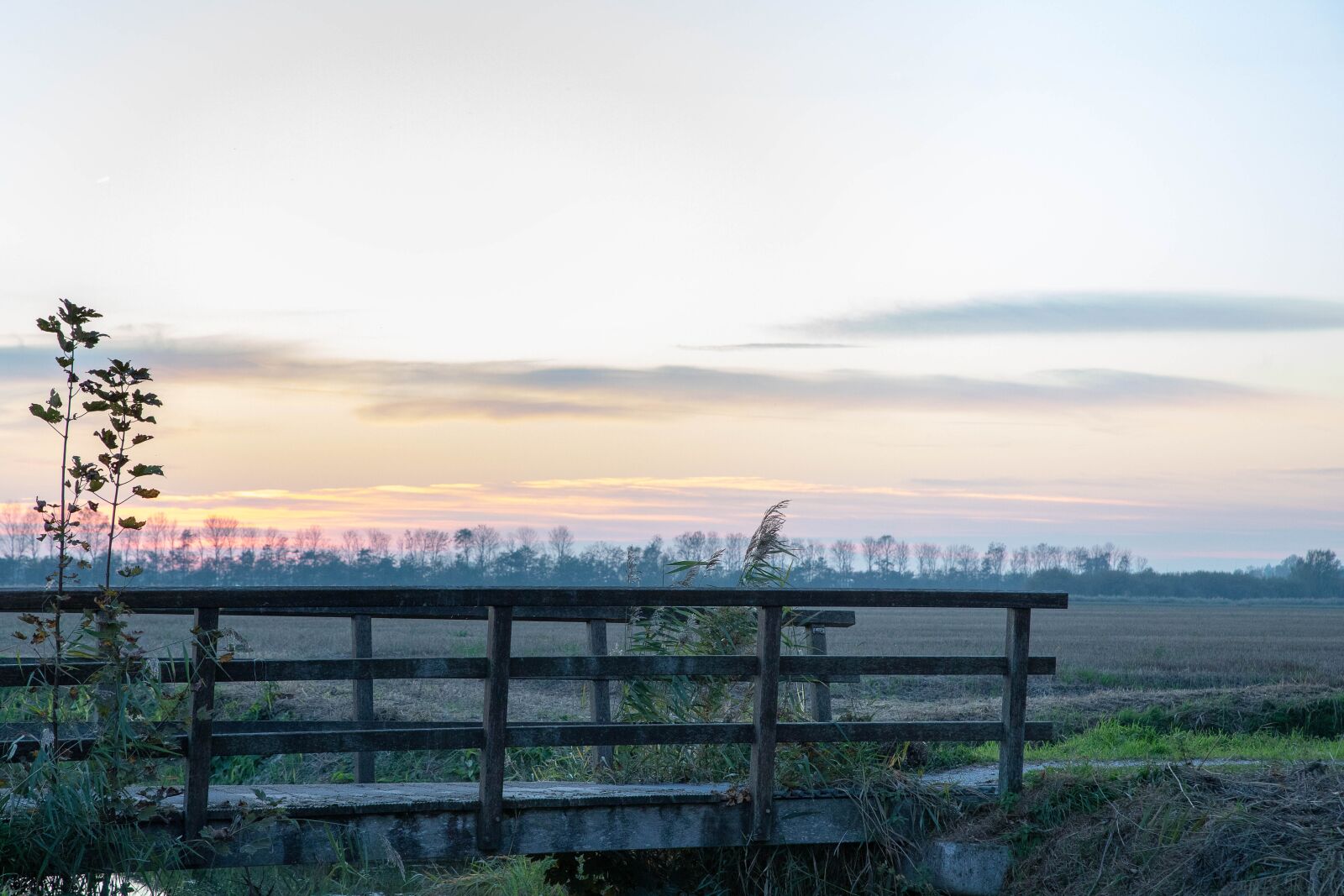 Canon EOS 6D Mark II sample photo. Morning, bridge, landscape photography