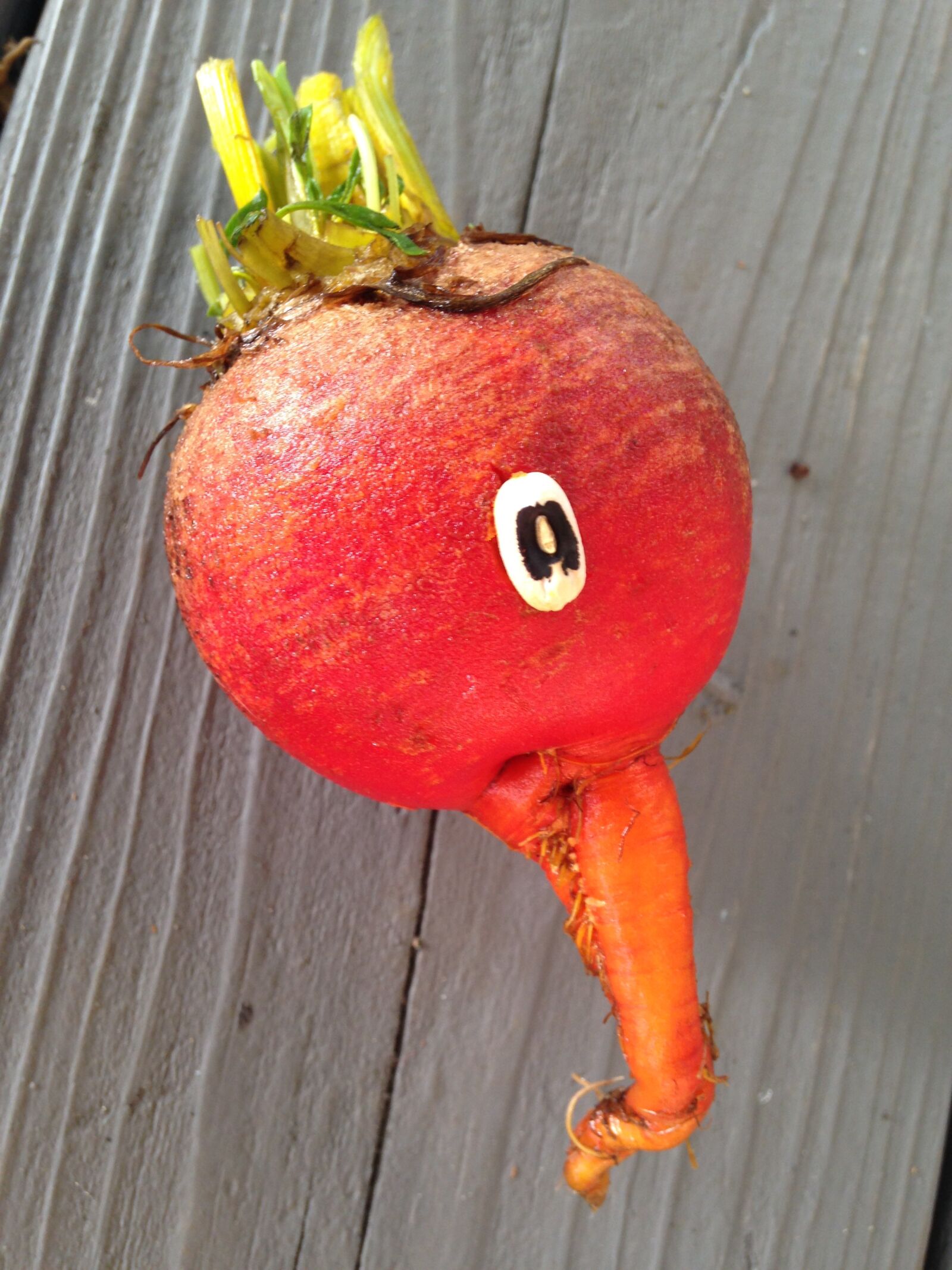 iPhone 5c back camera 4.12mm f/2.4 sample photo. Beet, children, food photography