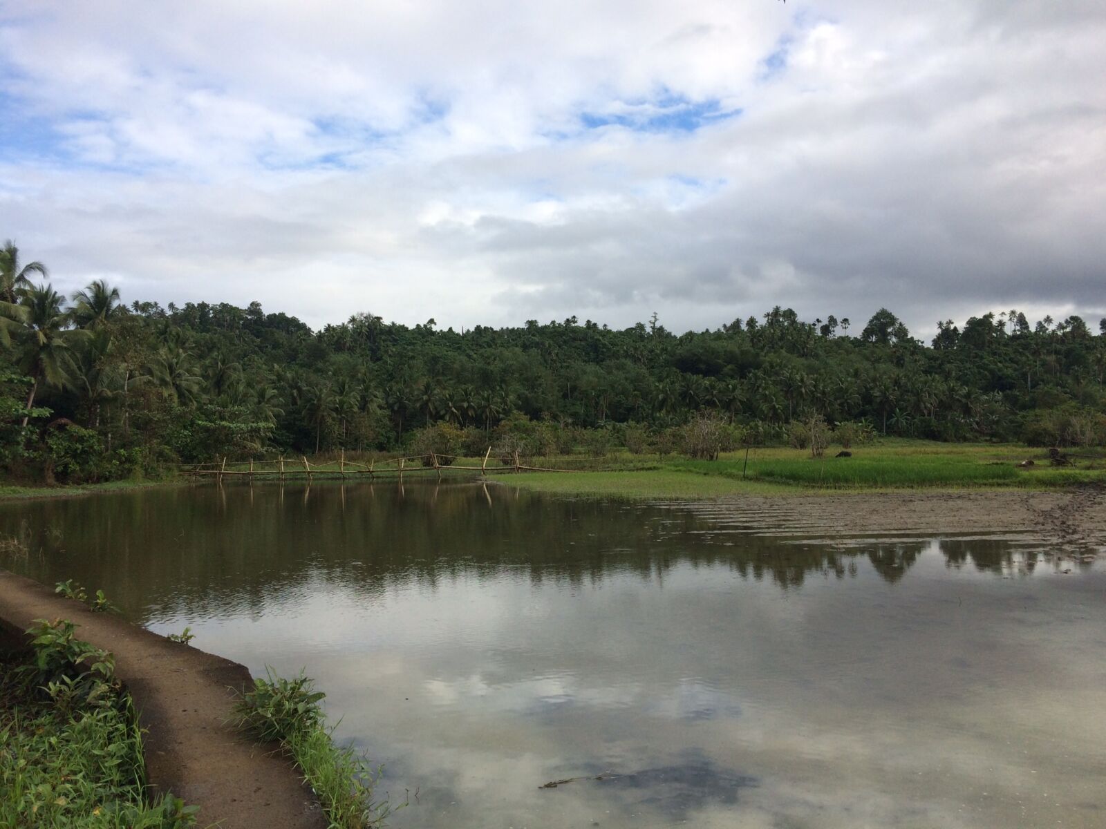 iPhone 5s back camera 4.15mm f/2.2 sample photo. Cloudy, sky, undiscovered, fishpond photography